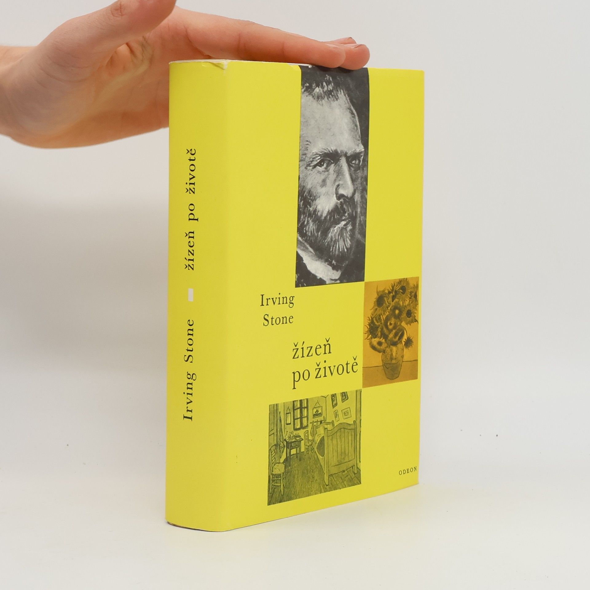 Irving Stone Žízeň po životě