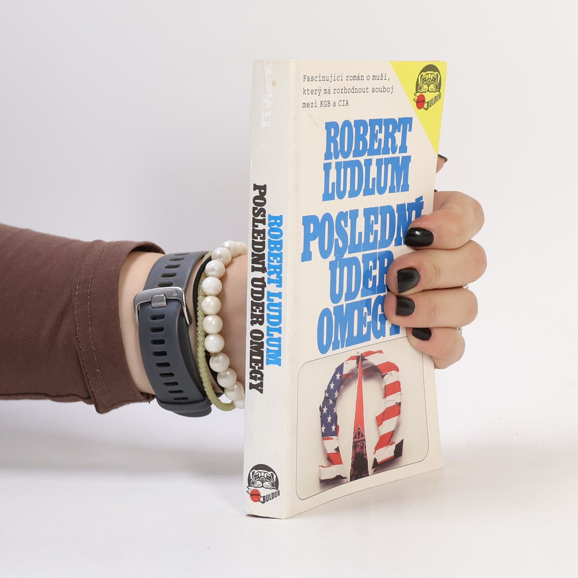 Robert Ludlum Poslední úder Omegy