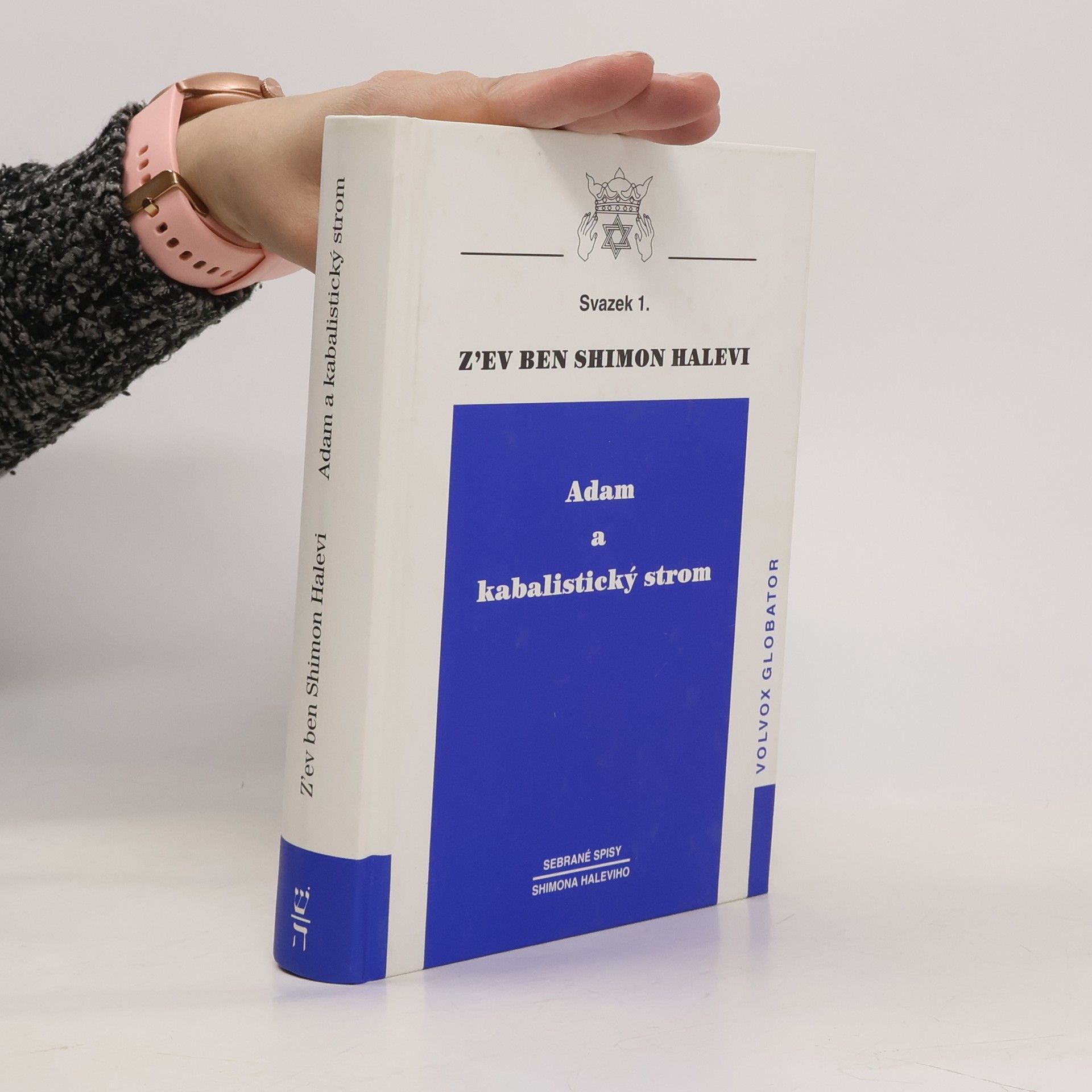 Adam a kabalistický strom