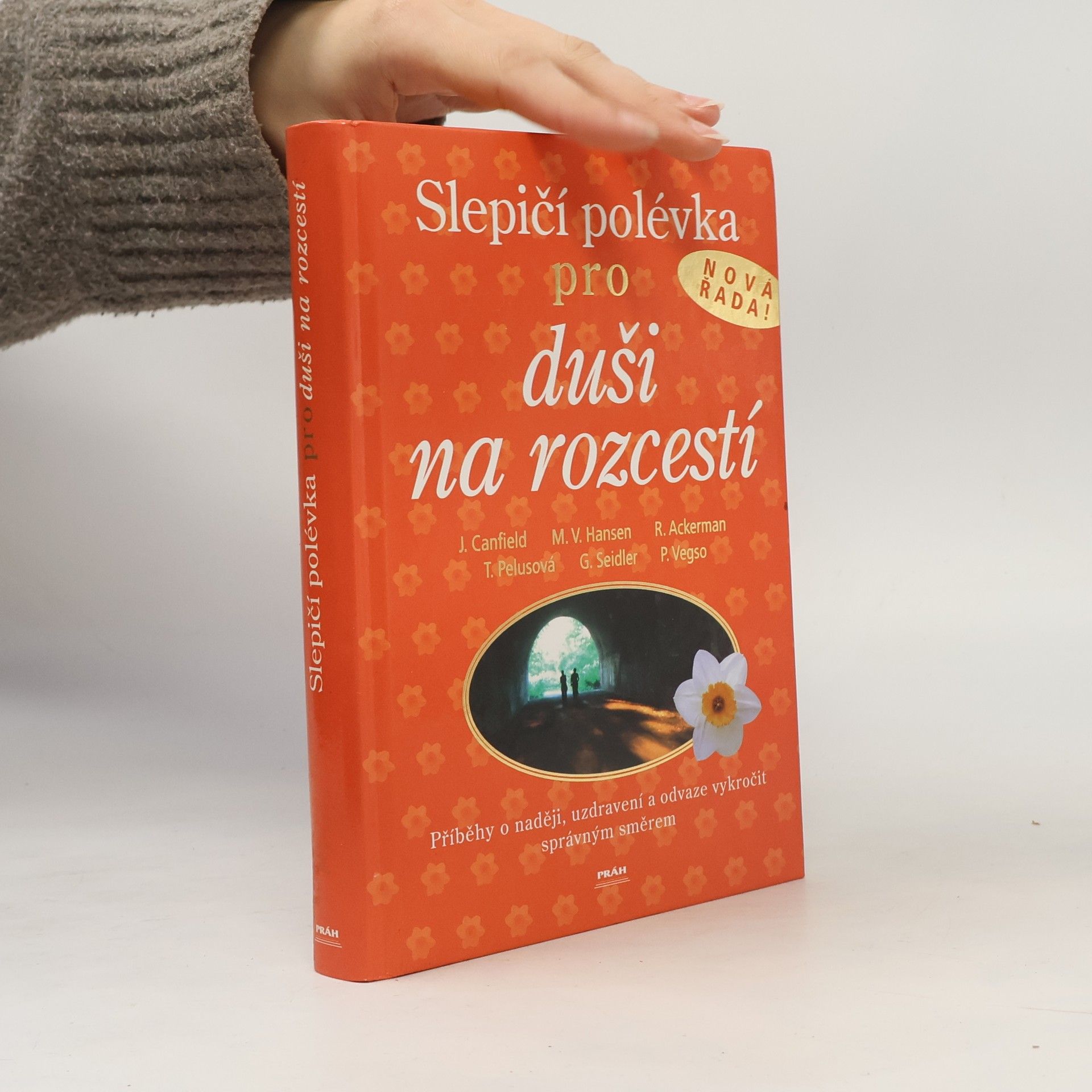 Jack Canfield Slepičí polévka pro duši na rozcestí