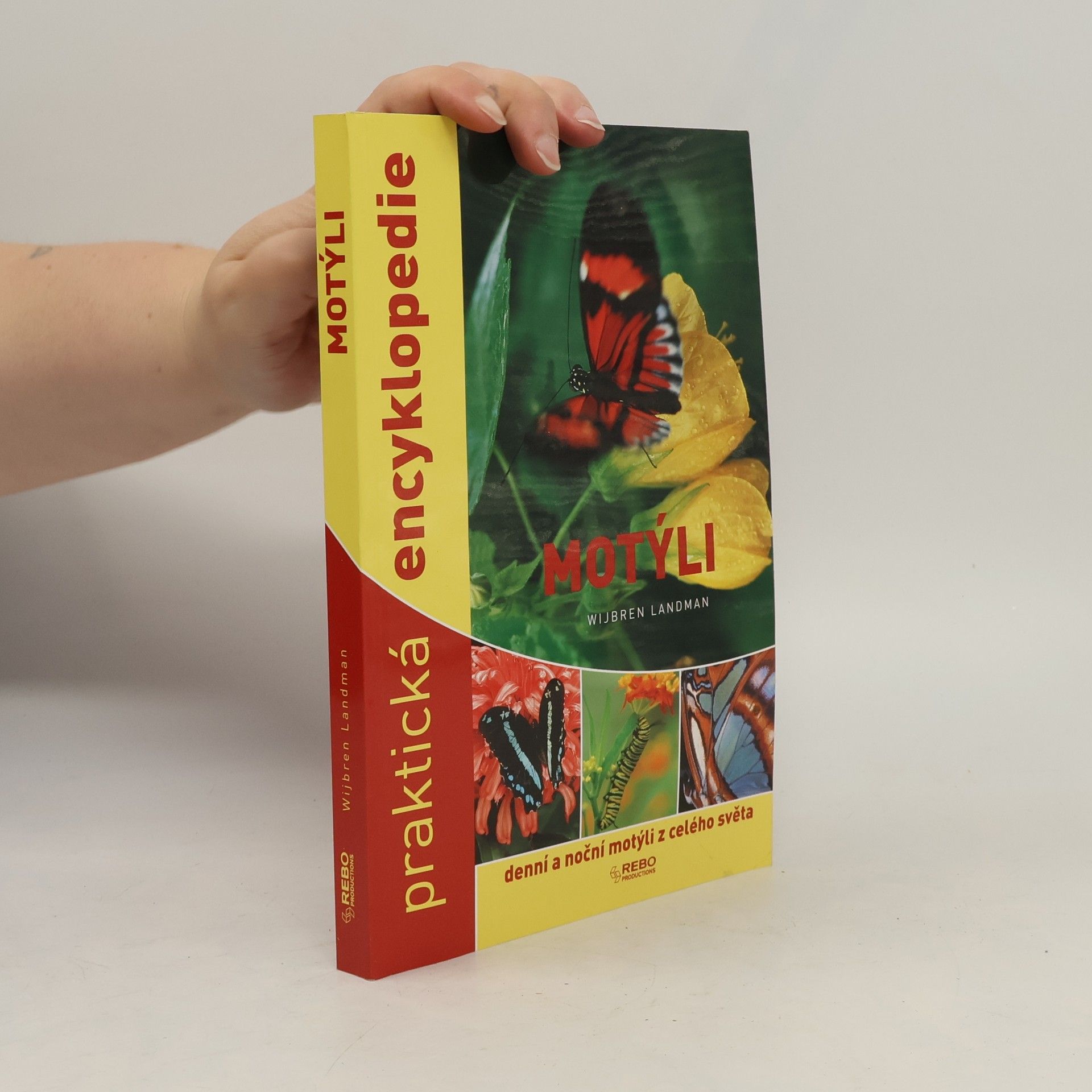 Wijbren Landman Motýli. Praktická encyklopedie