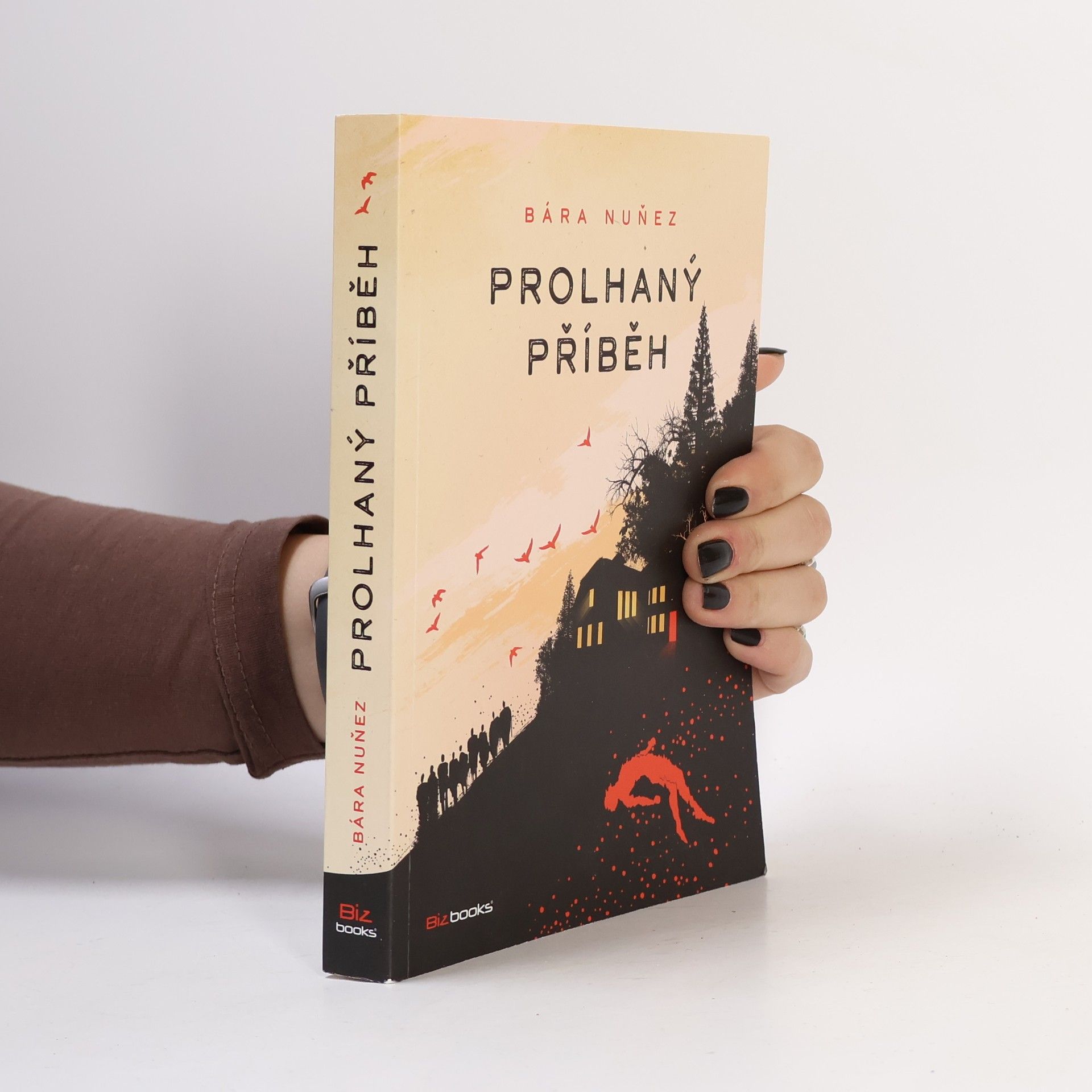 Bára Nuňez Prolhaný příběh