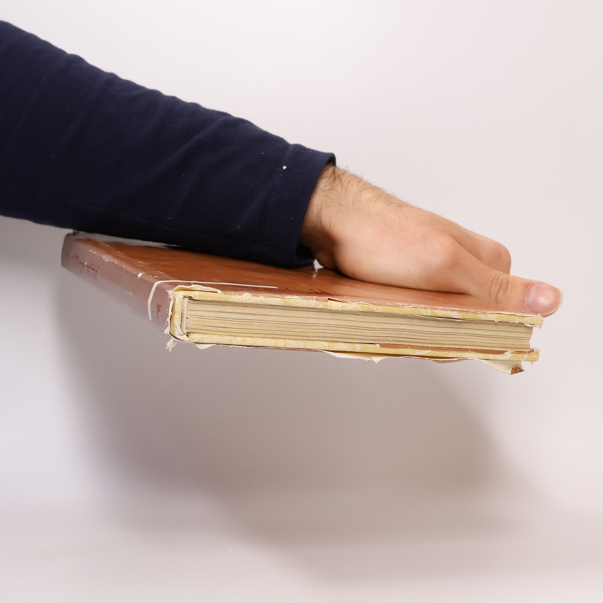Collectif d'auteurs Epos o Gilgamešovi
