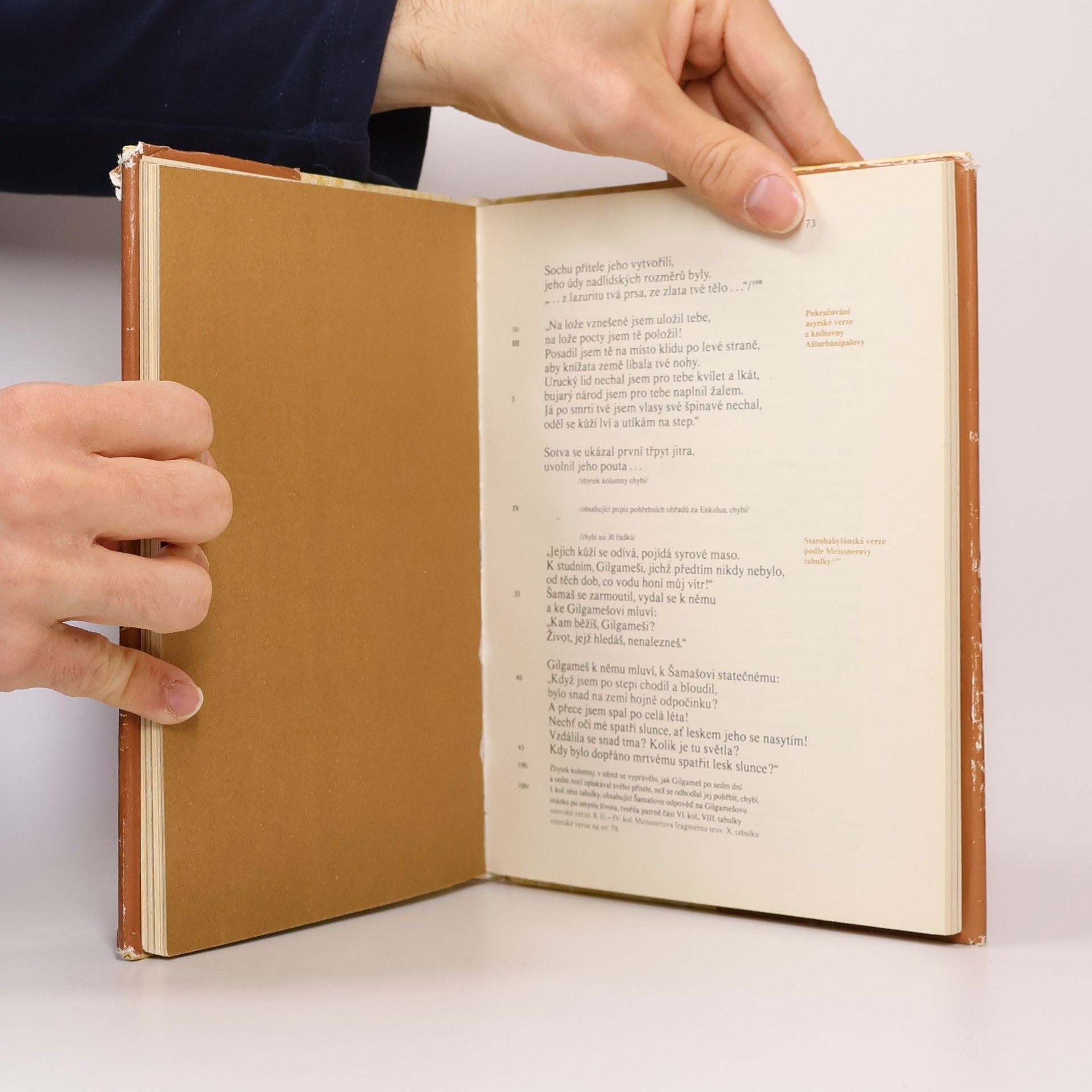 Collectif d'auteurs Epos o Gilgamešovi