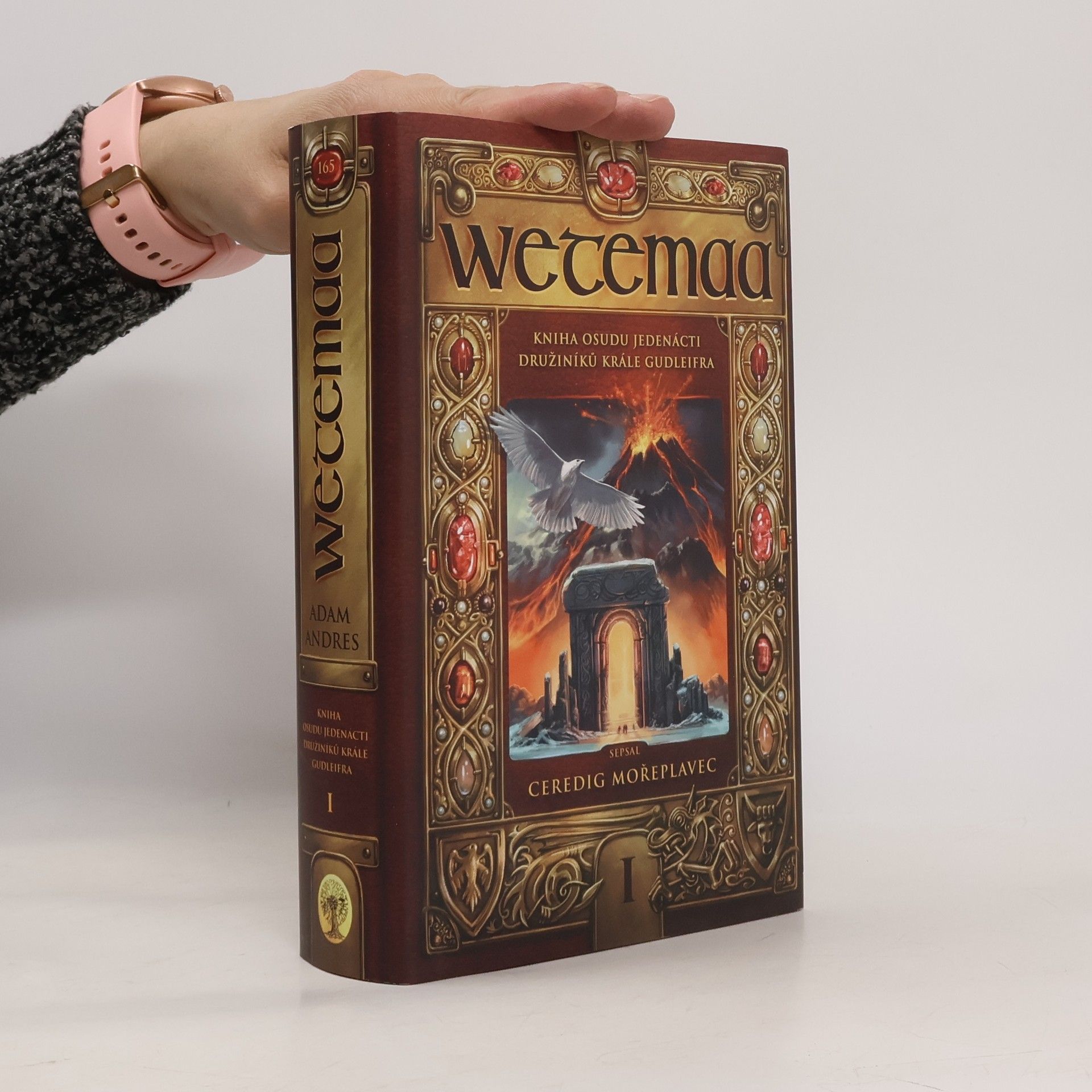 Veronika Válková Wetemaa - Kniha osudu jedenácti družiníků krále Gudleifra