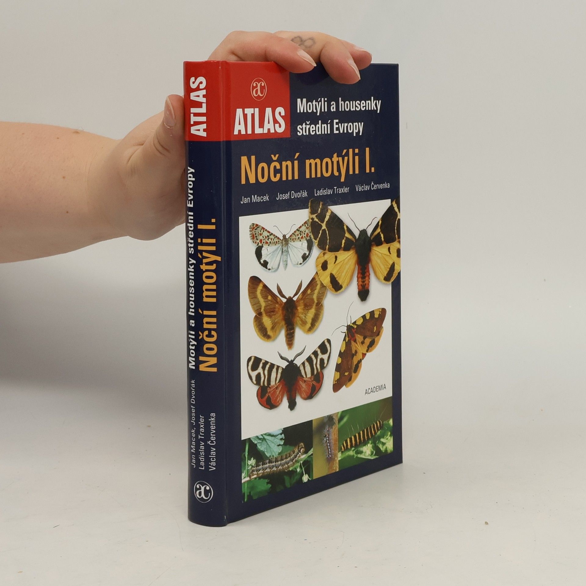 Josef Dvořák Noční motýli I.