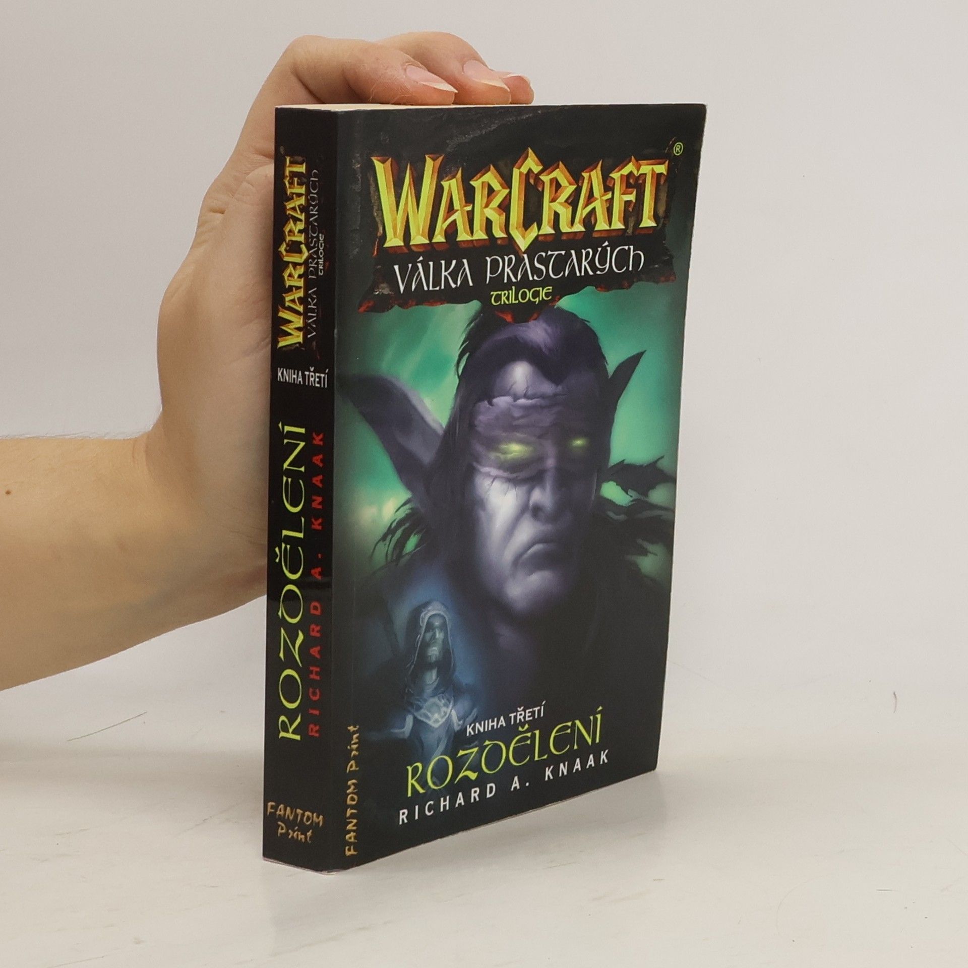 WarCraft - Válka prastarých : trilogie. Kniha třetí, Rozdělení