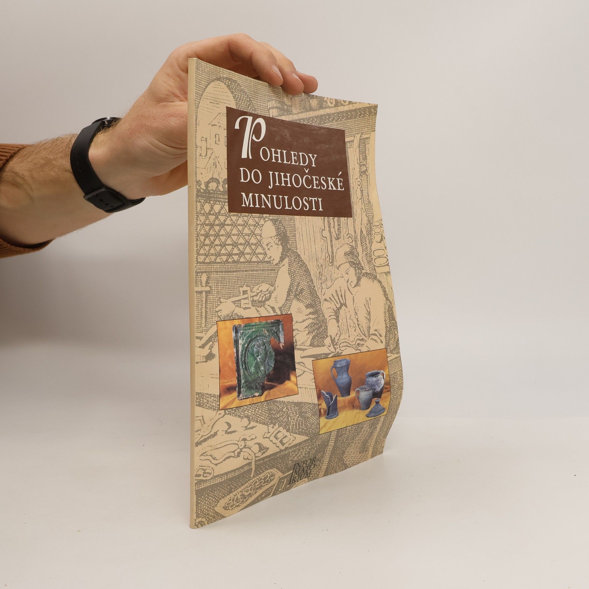 Kolektiv autorů Pohledy do jihočeské minulosti