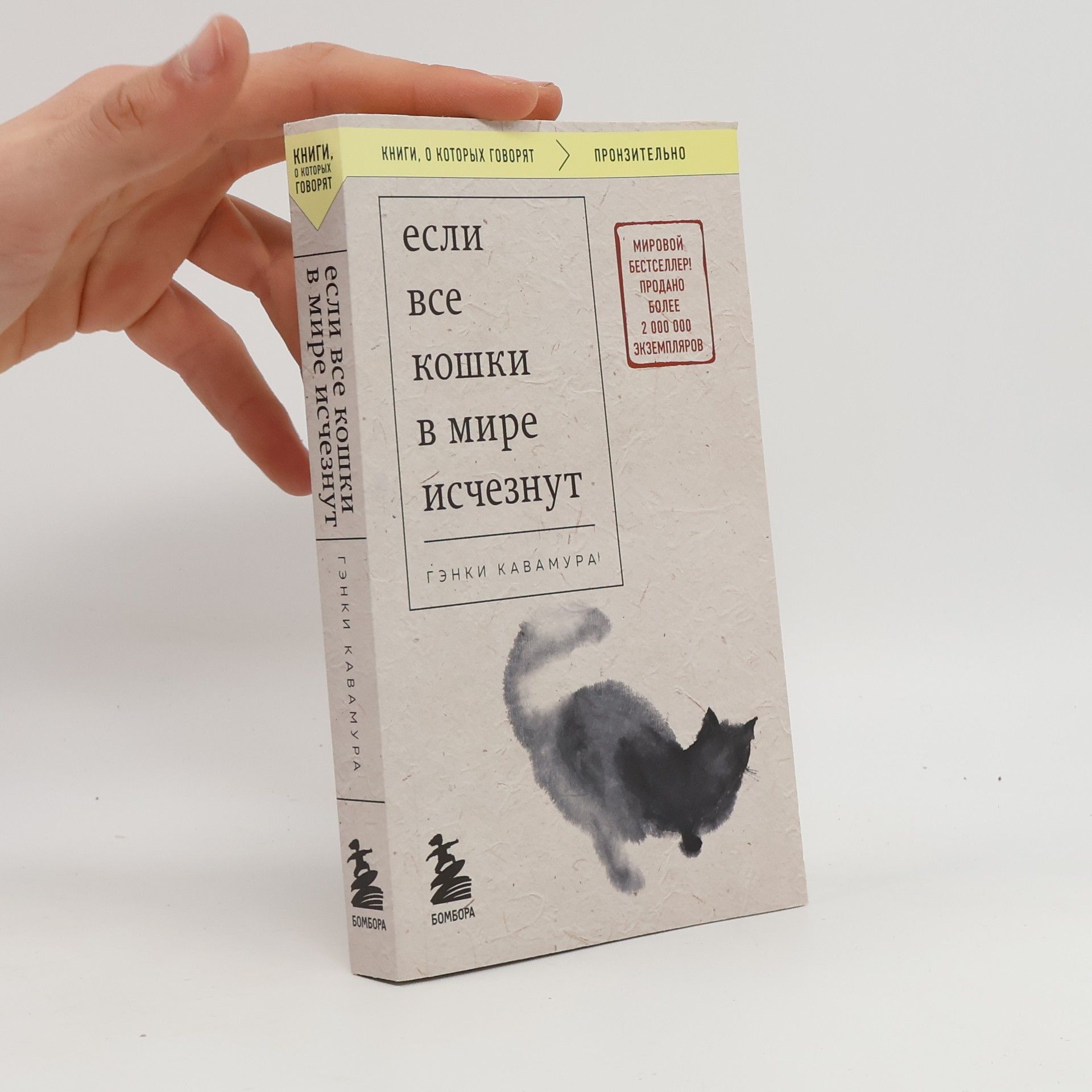 Если все кошки в мире исчезнут