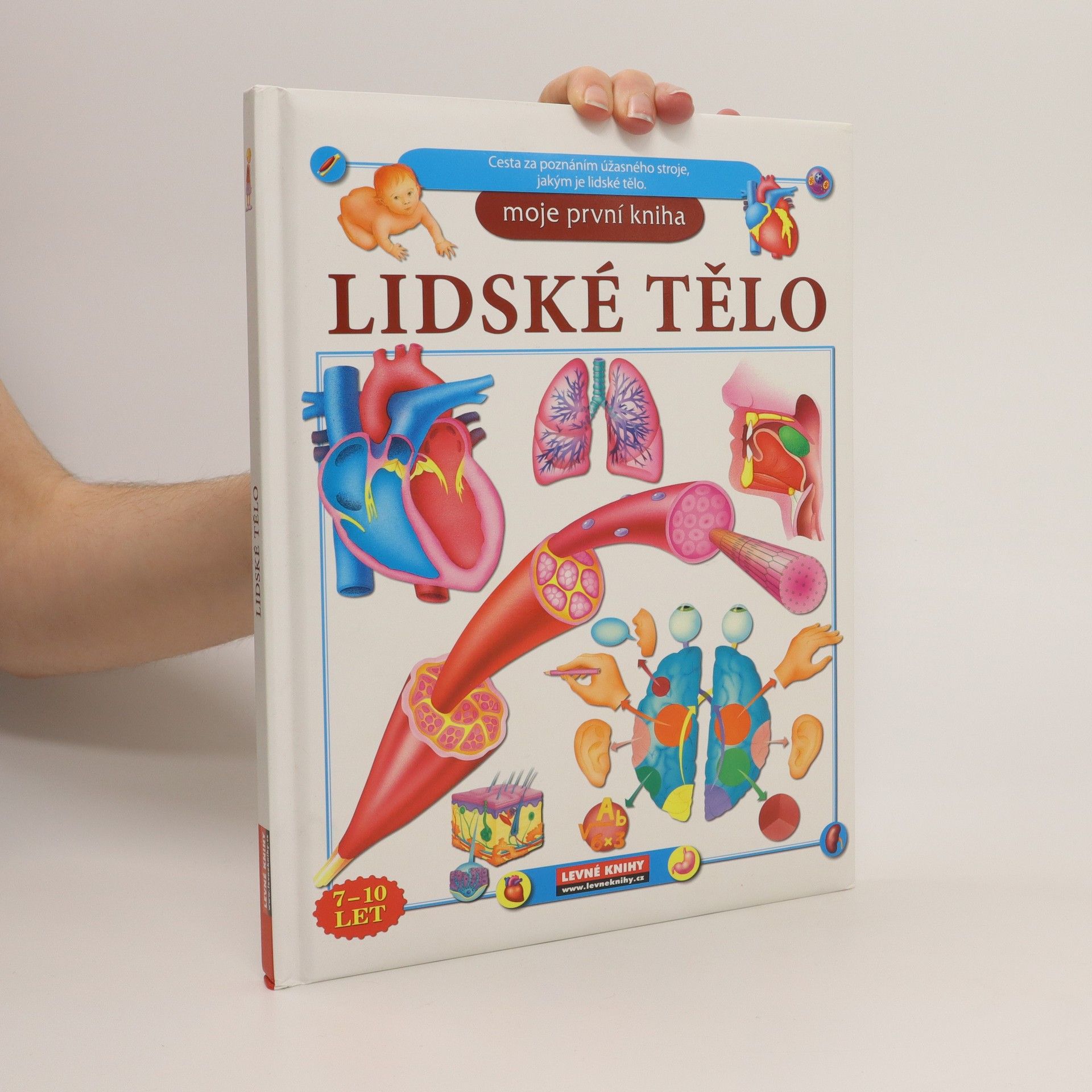Autorenkollektiv Lidské tělo - Moje první kniha
