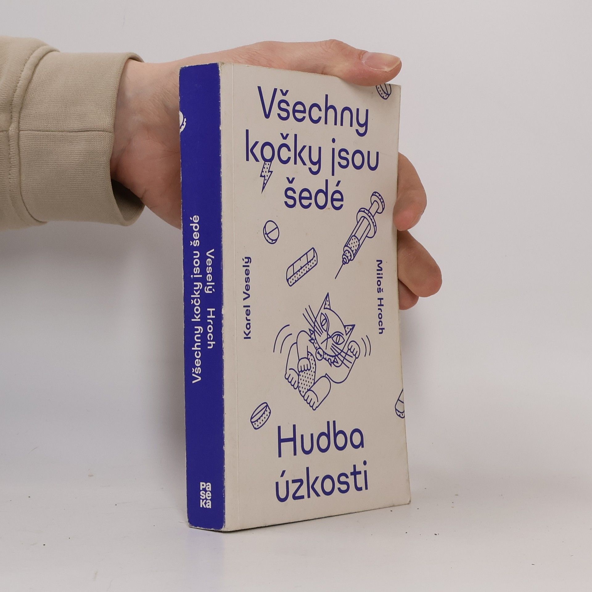 Karel Veselý Všechny kočky jsou šedé