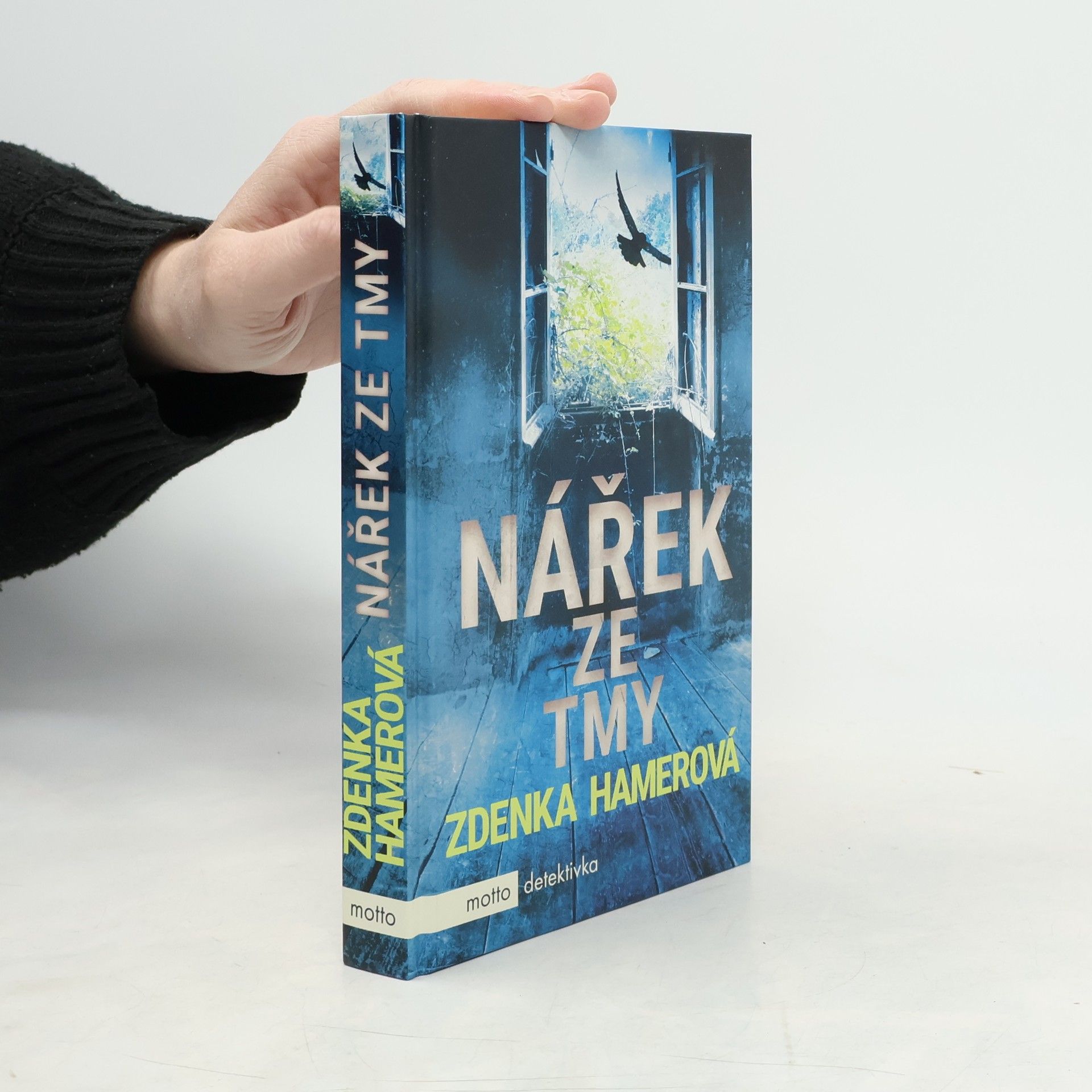 Zdenka Hamerová Nářek ze tmy