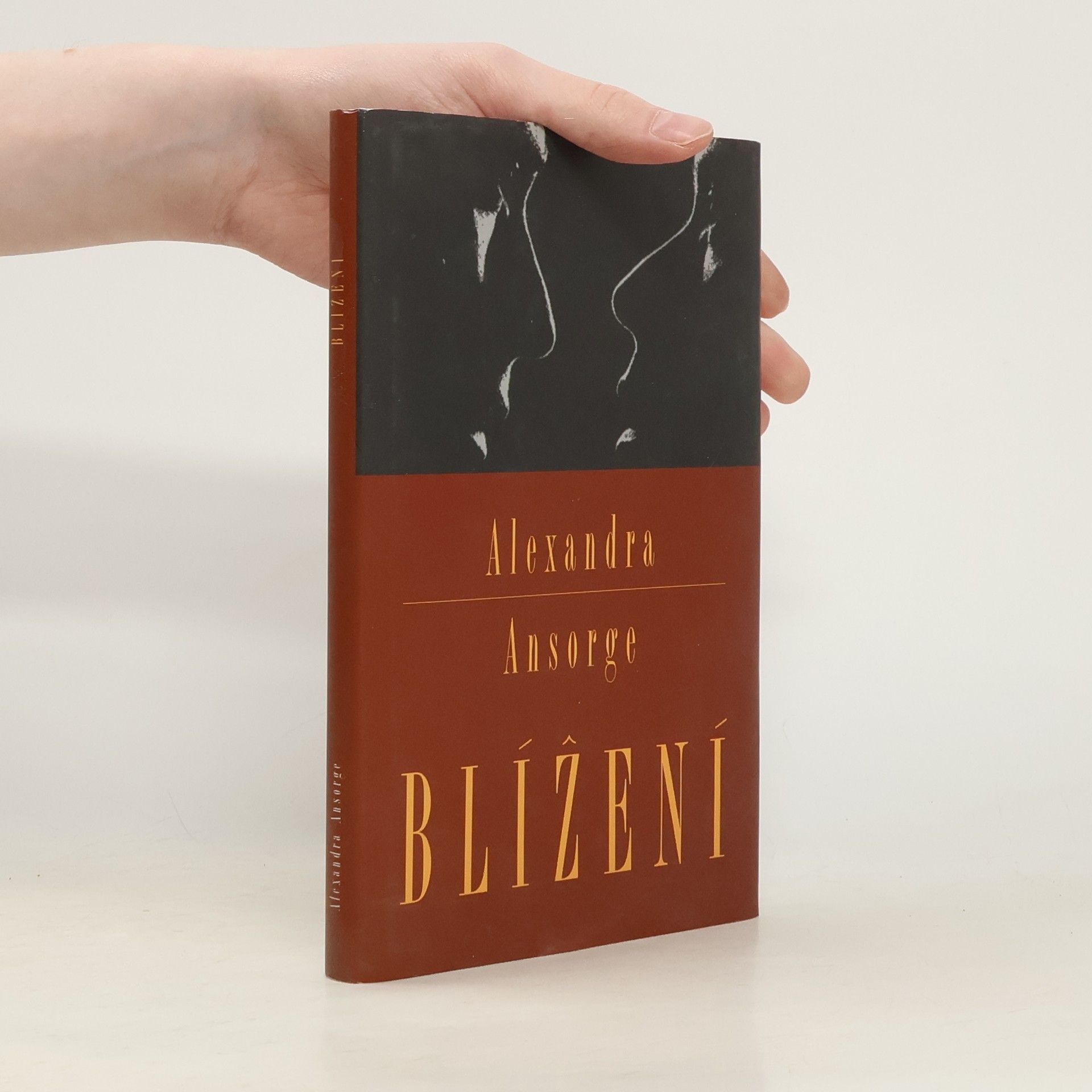 Alexandra Ansorge Blížení