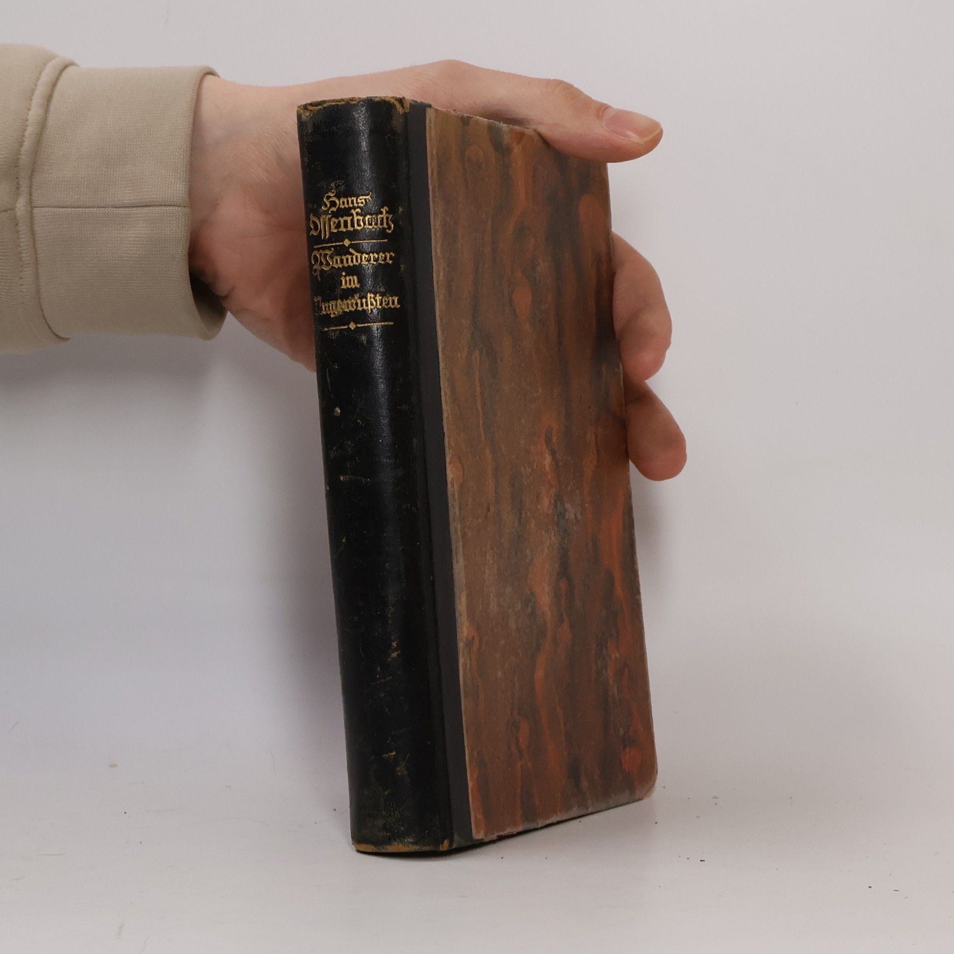 Hans Ossenbach Wanderer im Ungewussten