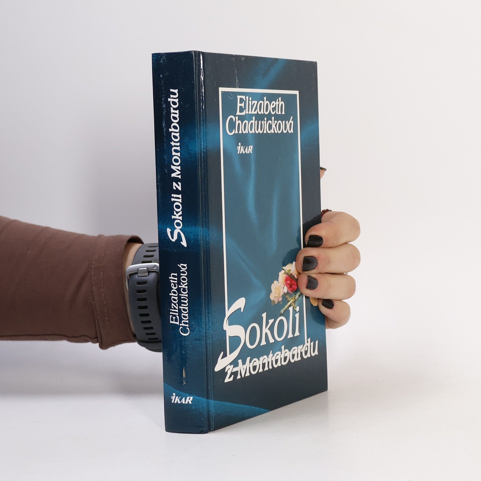 Elizabeth Chadwick Sokoli z Montabardu