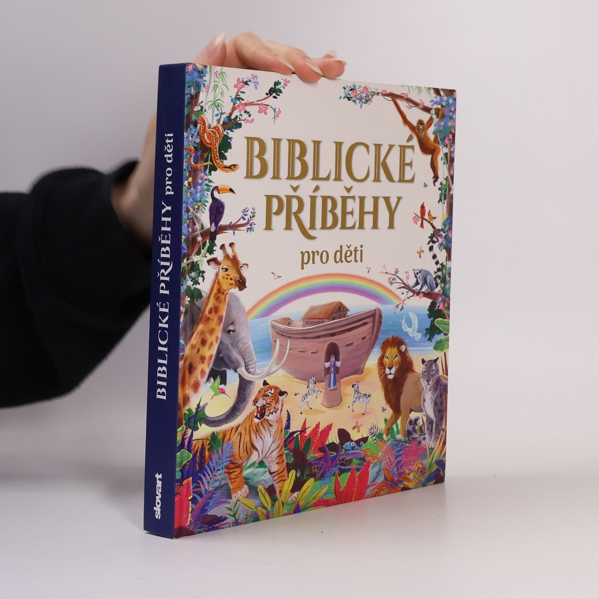 Biblické příběhy pro děti