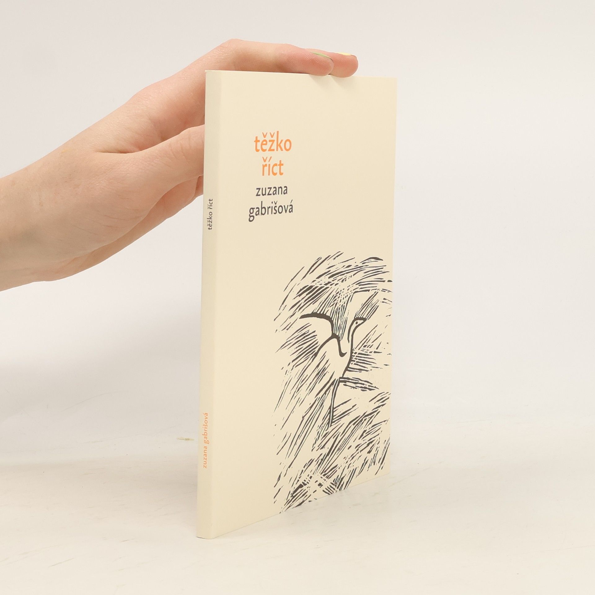 Zuzana Gabrišová Těžko říct