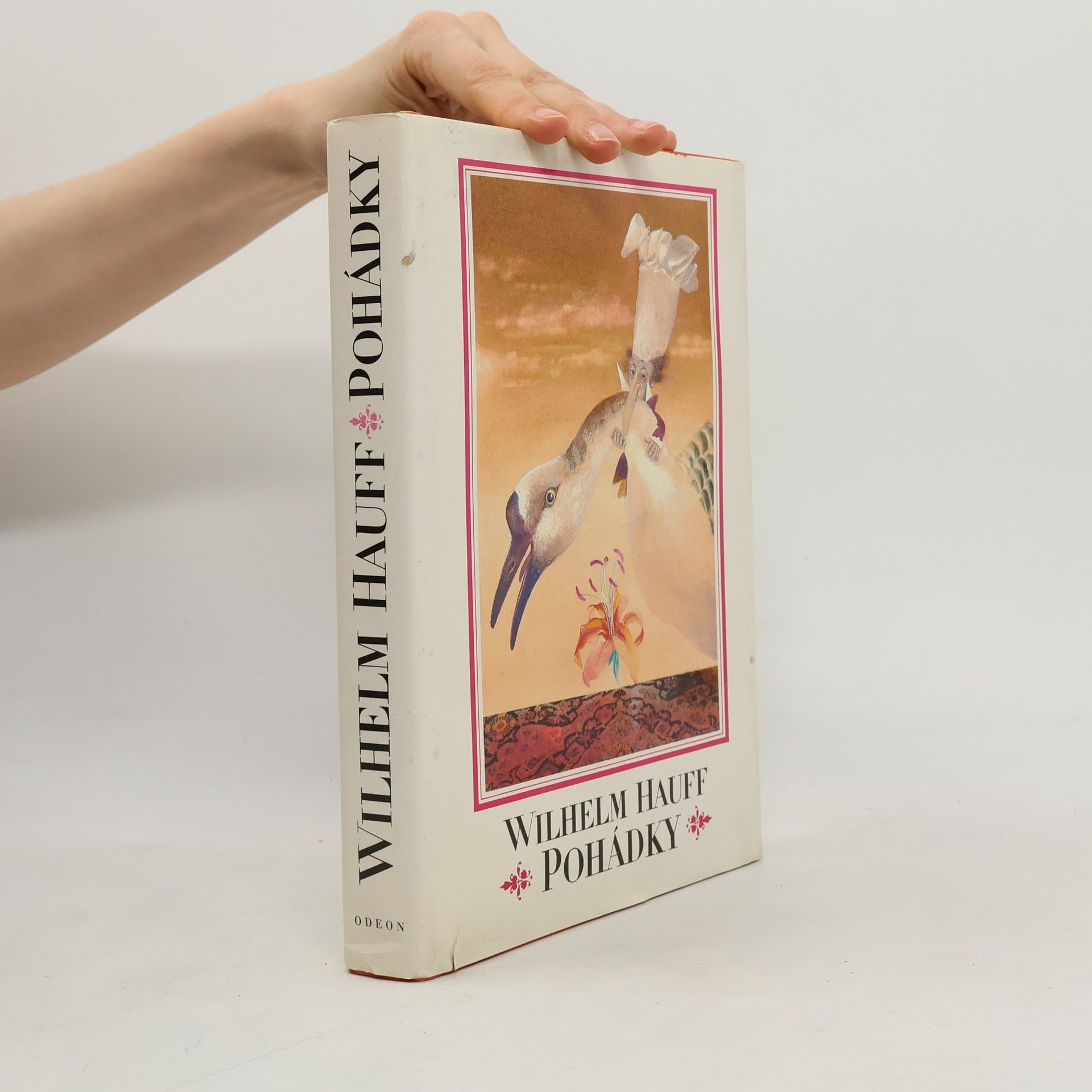Wilhelm Hauff Pohádka