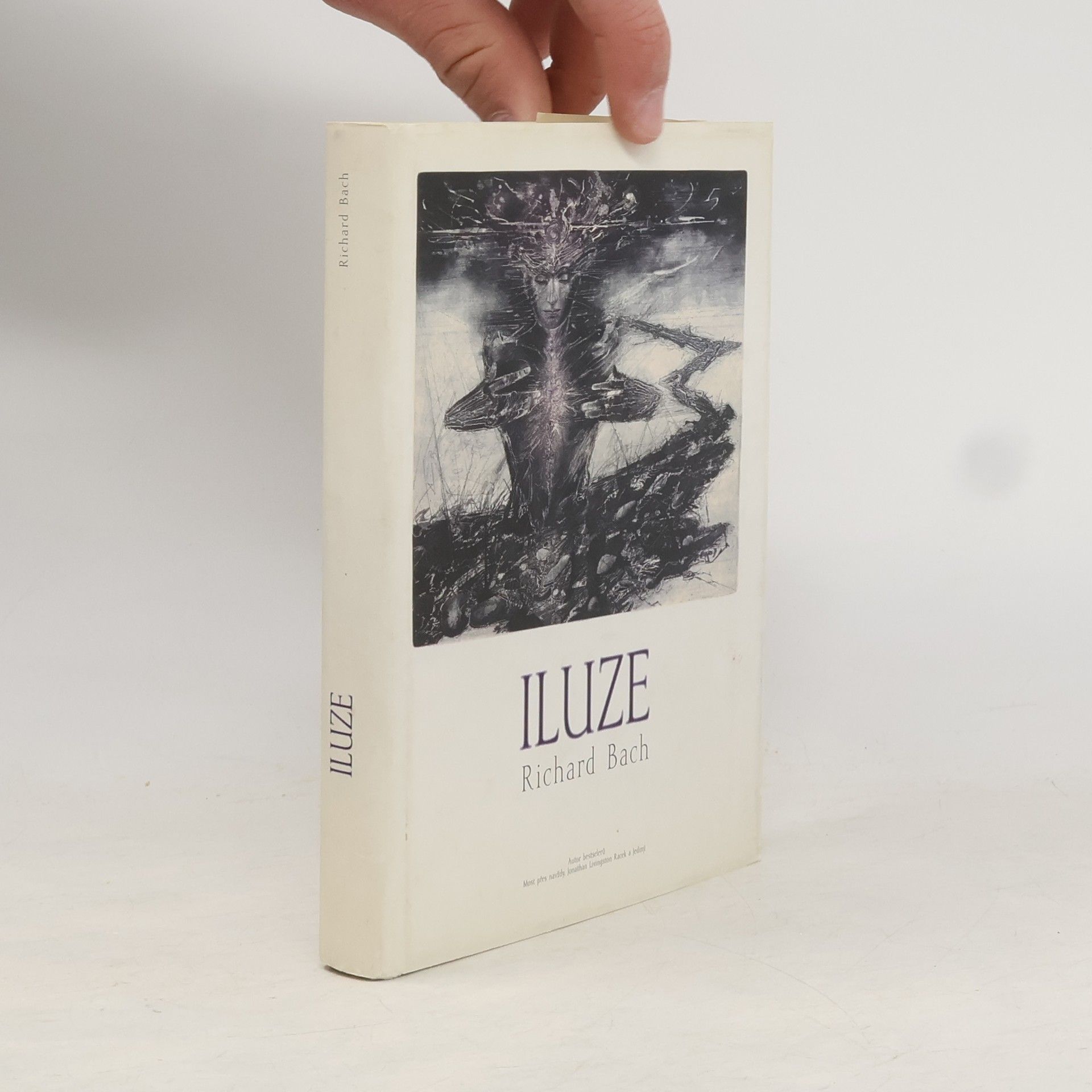 Richard Bach Iluze