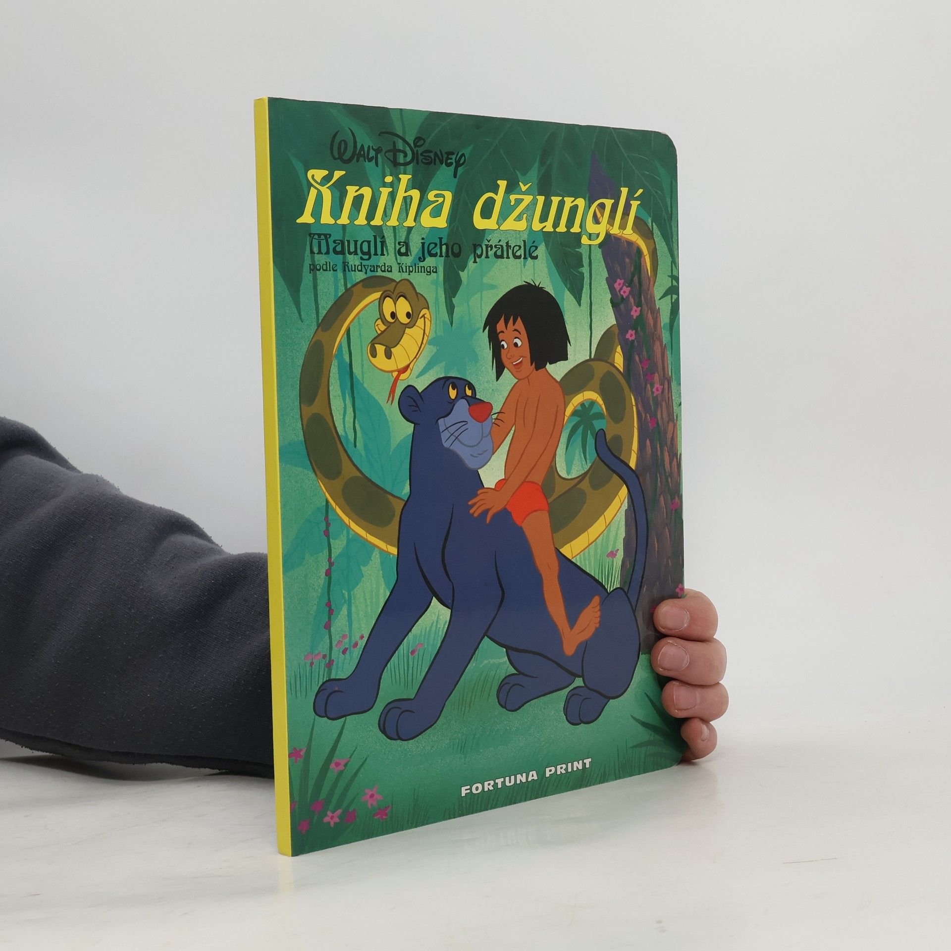 Rudyard Kipling Kniha džunglí. Mauglí a jeho přátelé