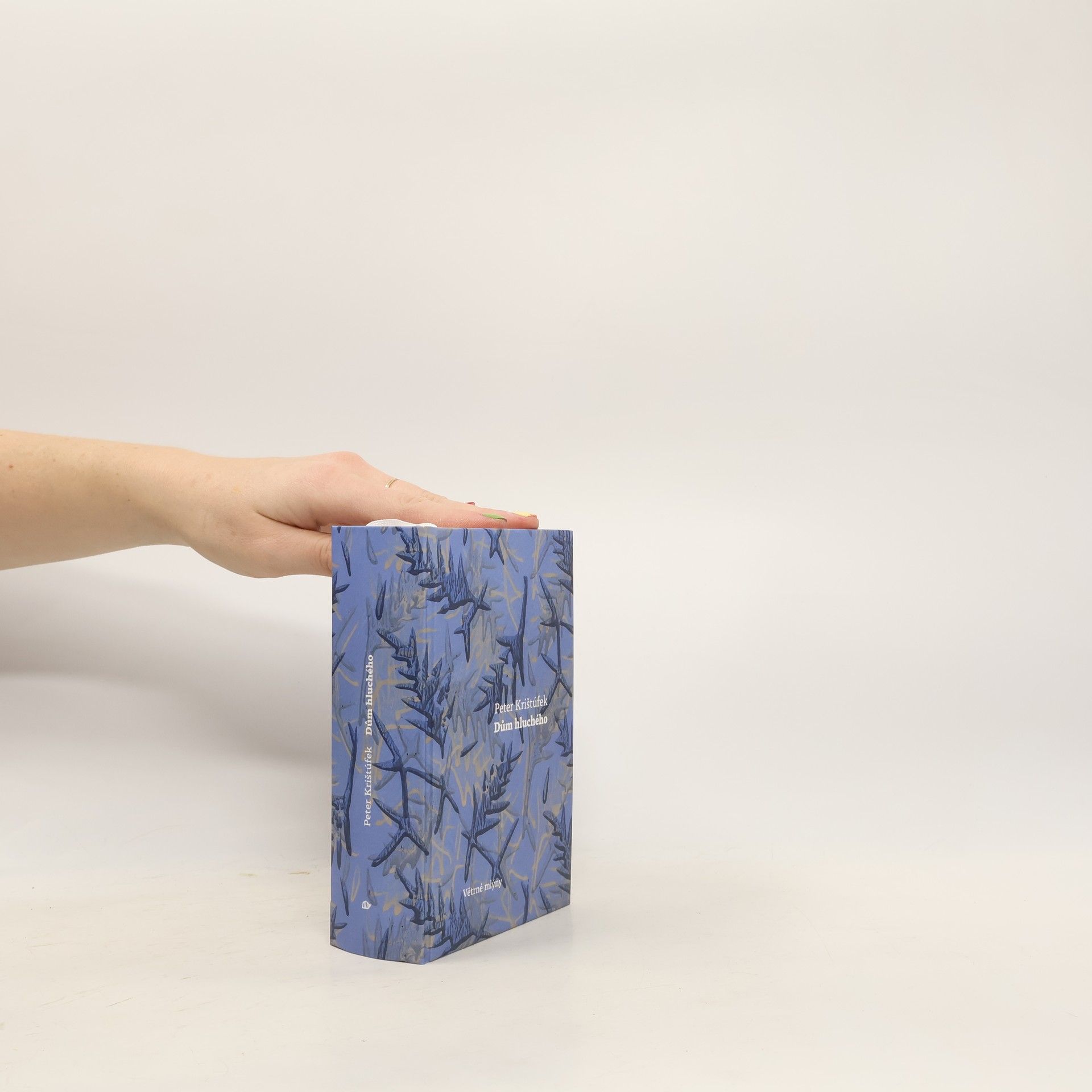 Peter Krištúfek Dům hluchého