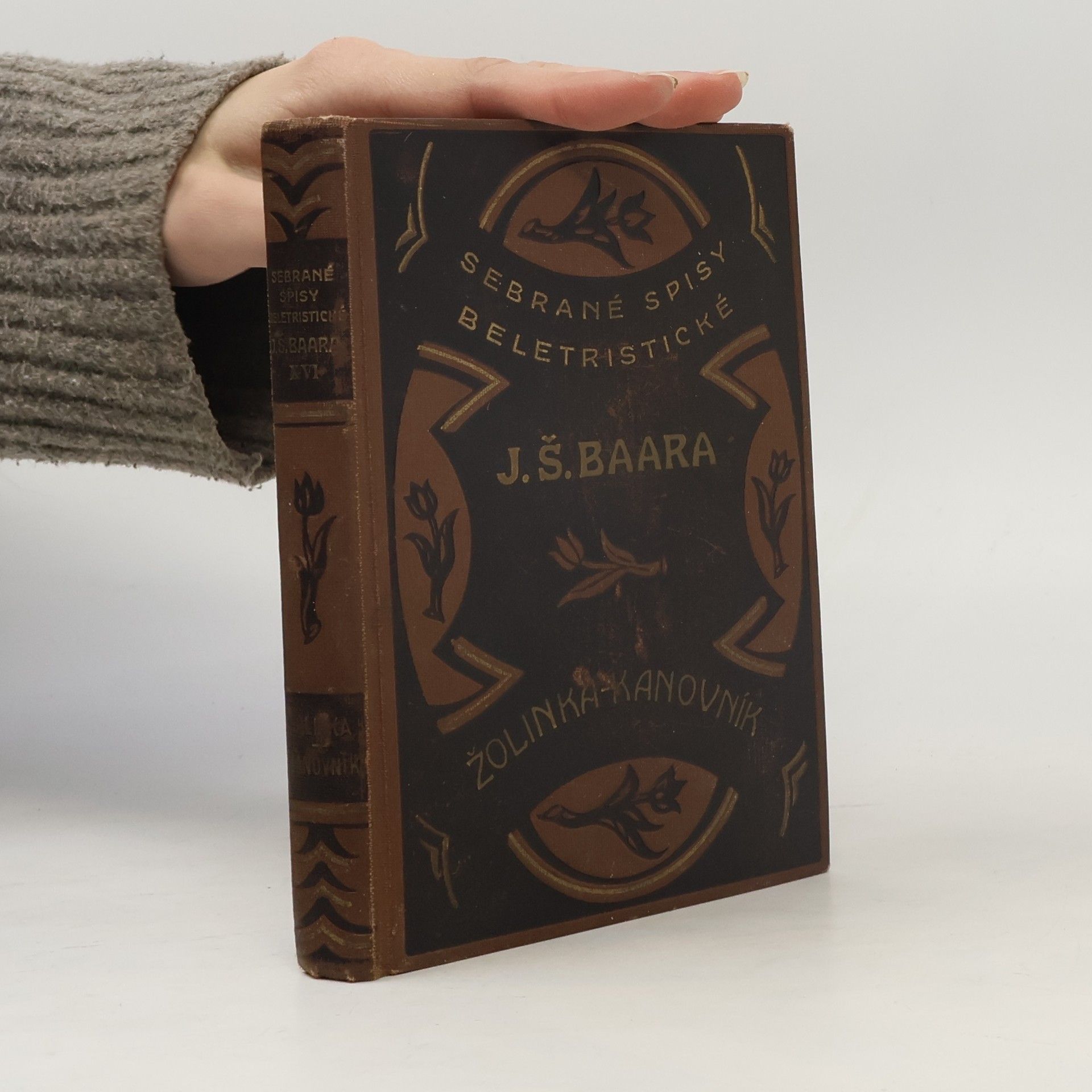 Sebrané spisy beletristické XVI. Žolinka, Kanovník