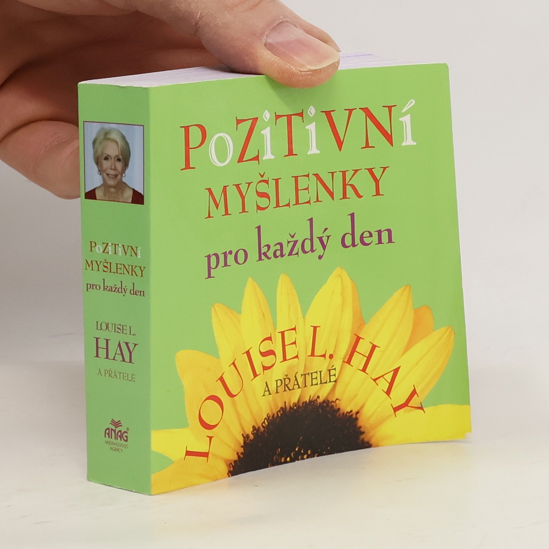 Louise Lynn Hay Pozitivní myšlenky pro každý den