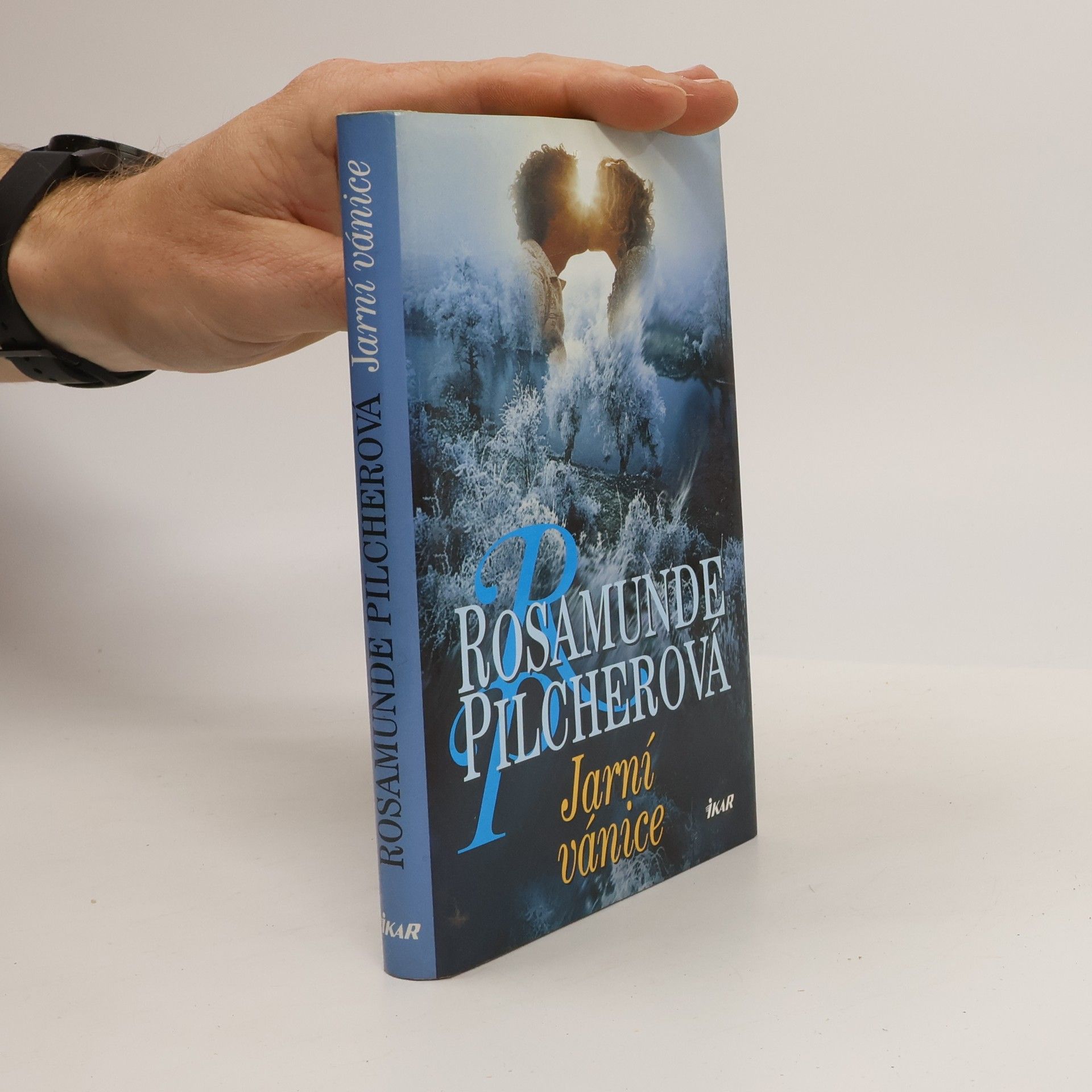 Rosamunde Pilcher Jarní vánice