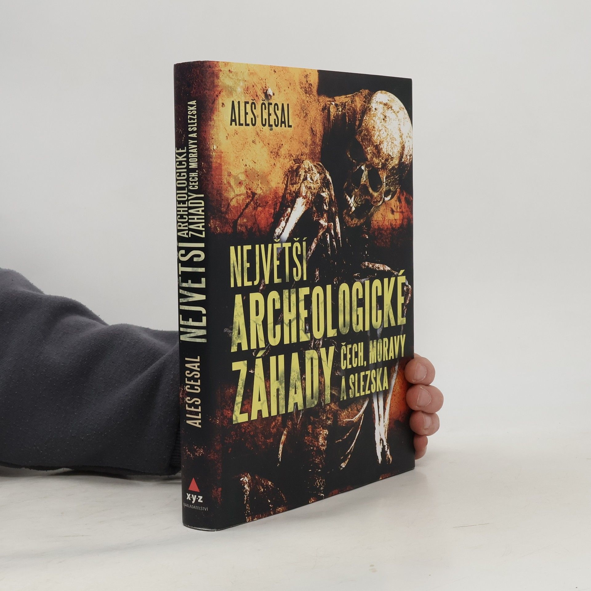 Aleš Česal Největší archeologické záhady Čech, Moravy a Slezska