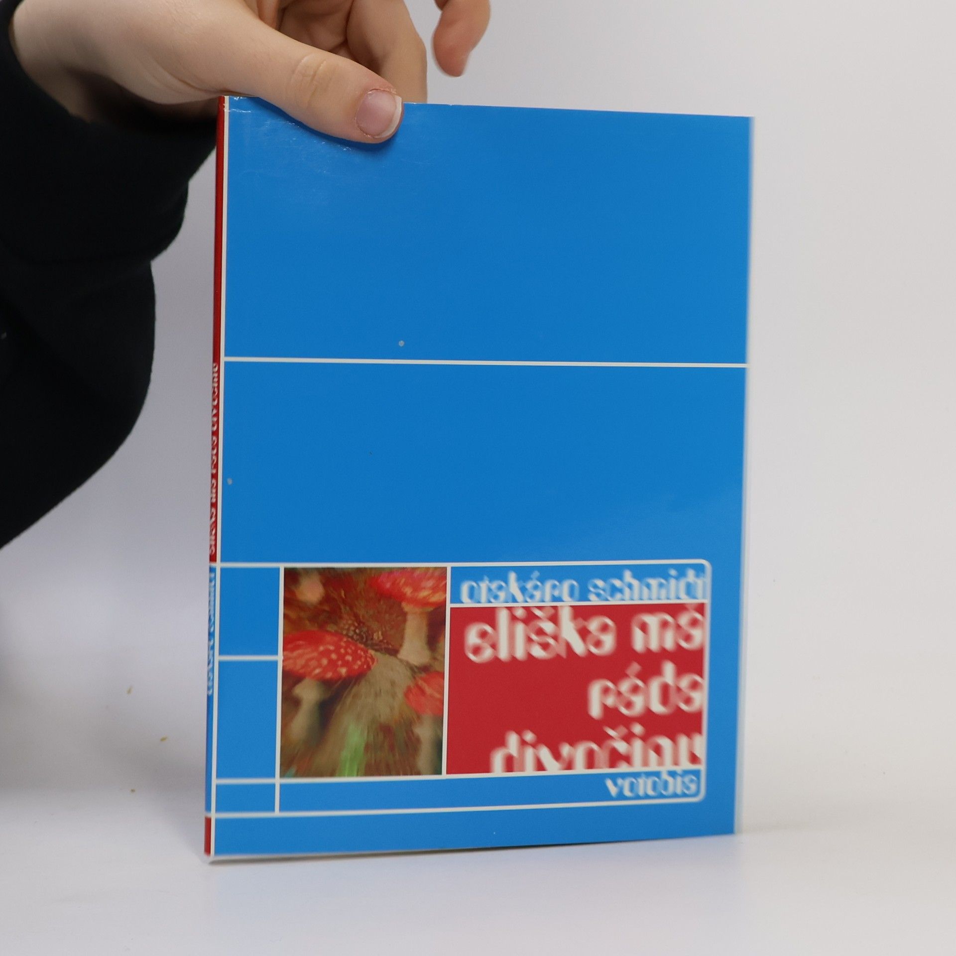 Otakáro Schmidt Eliška má ráda divočinu : psychedelická komedie