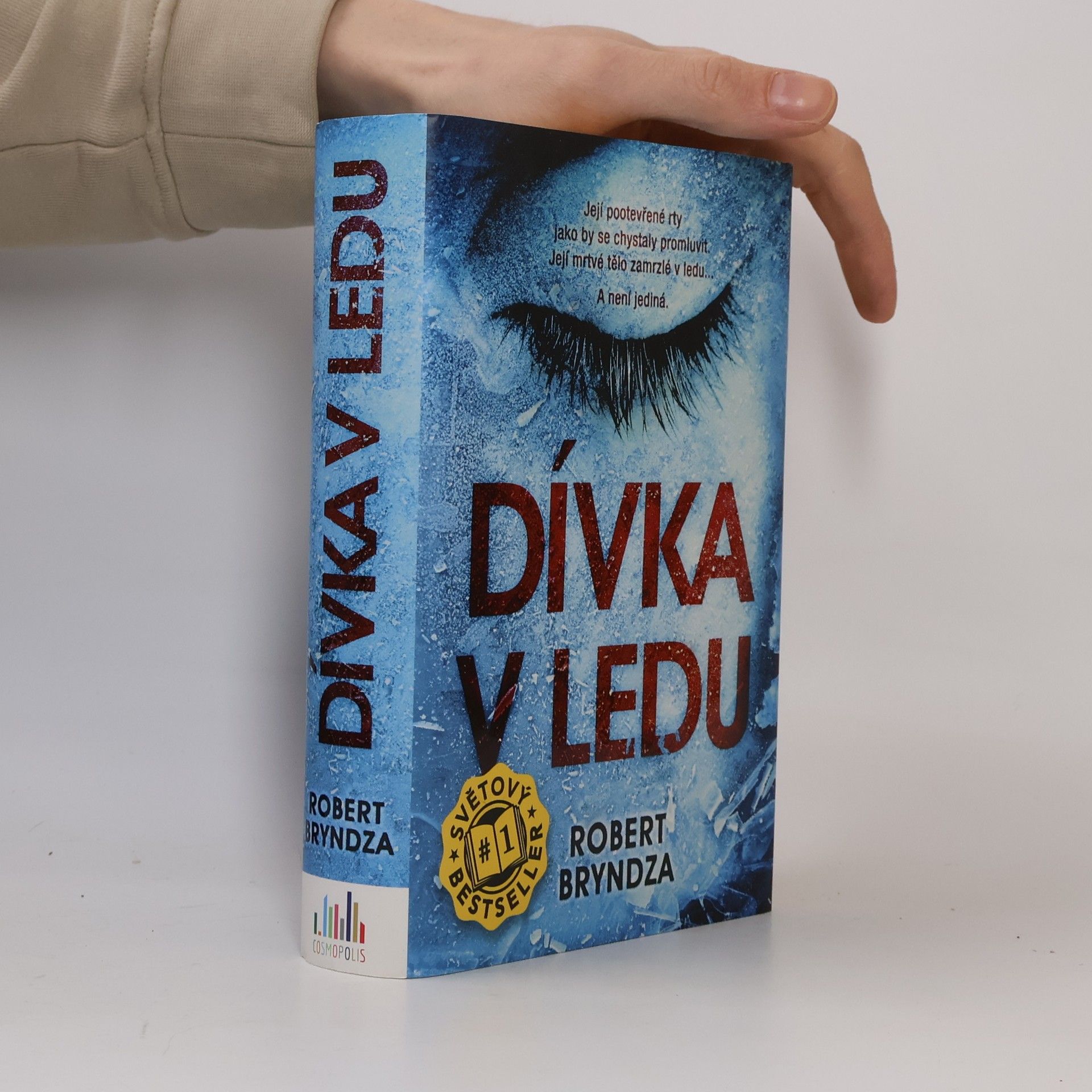 Robert Bryndza Dívka v ledu