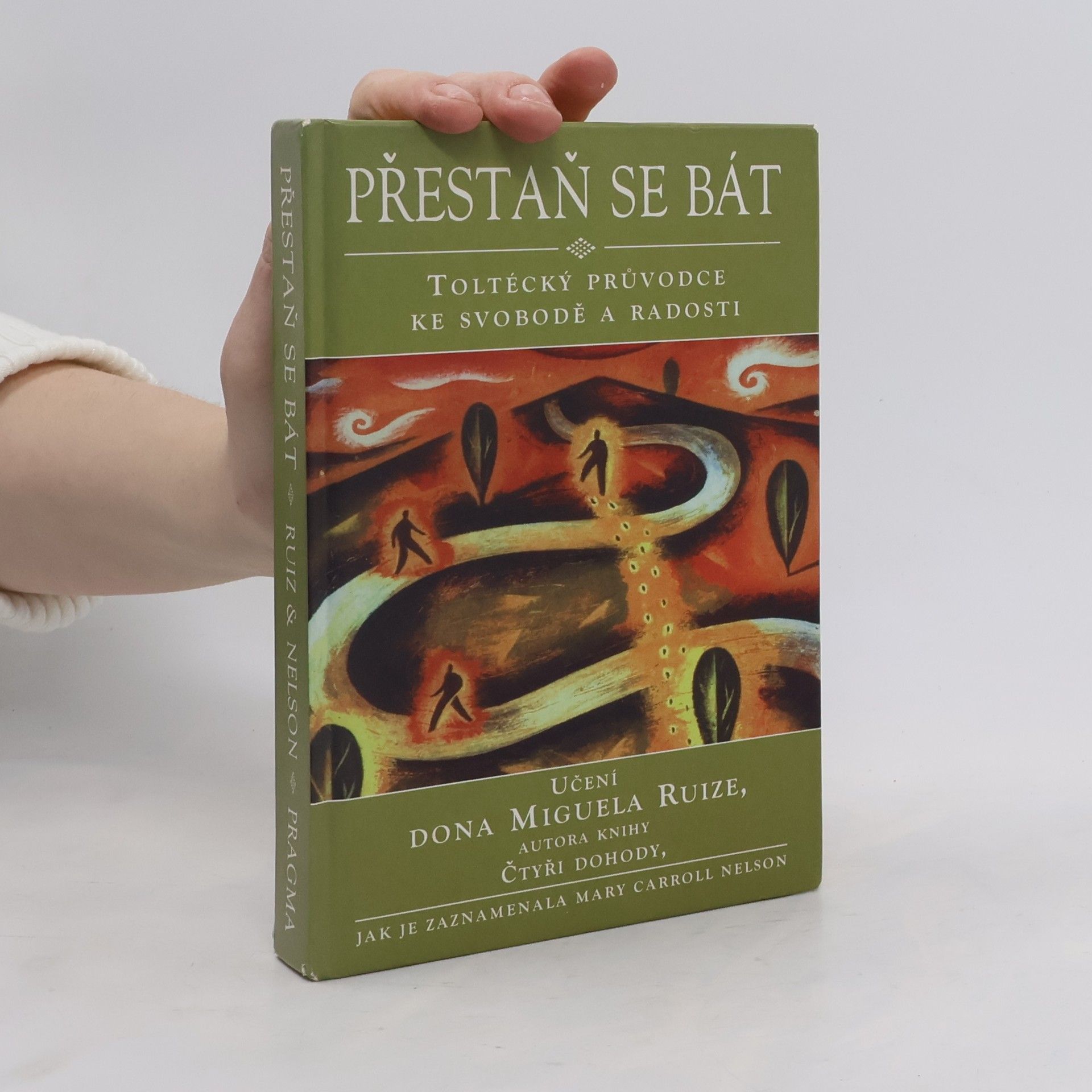 Mary Carroll Nelson Přestaň se bát