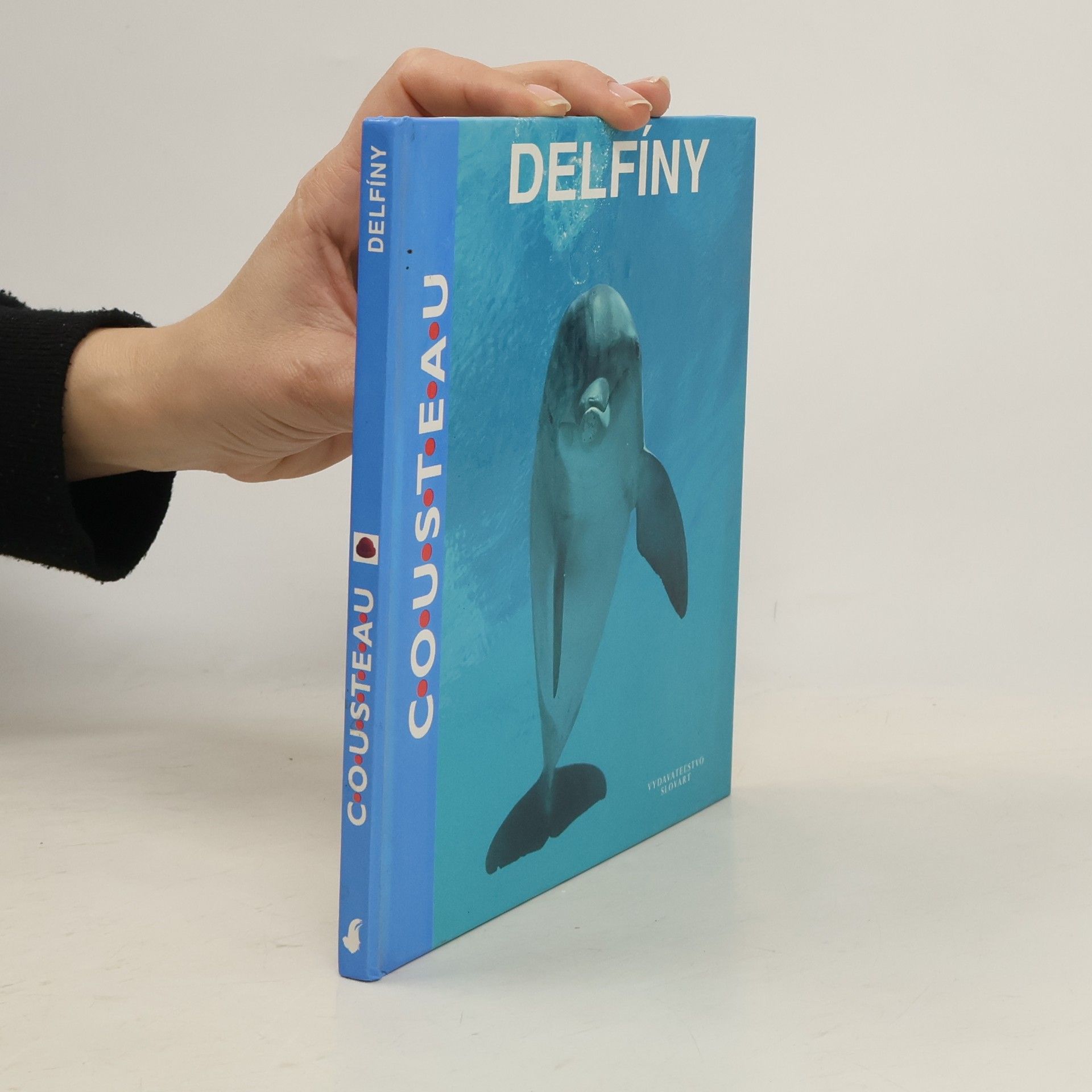 Autorenkollektiv Delfíny