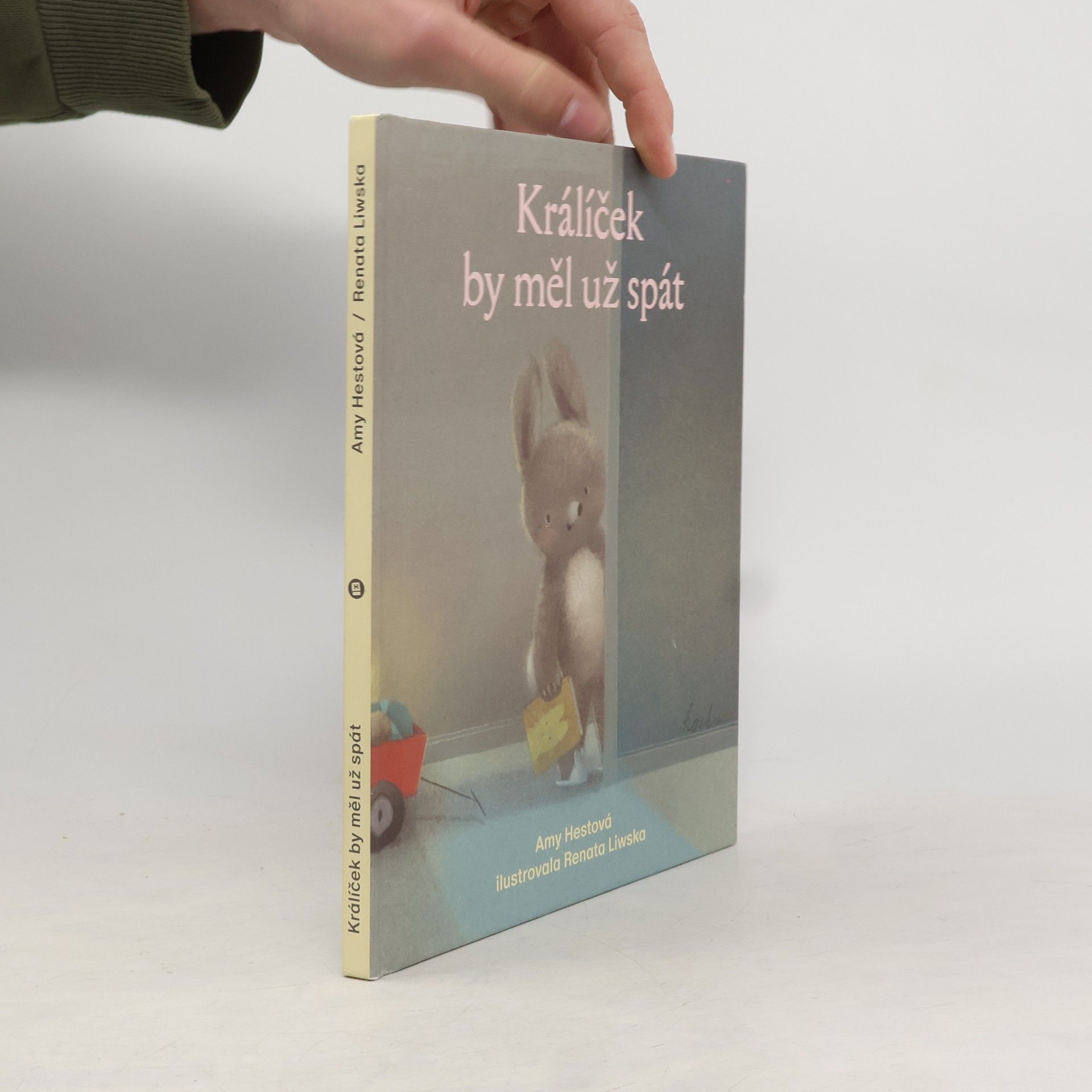 Amy Hest Králíček by měl už spát