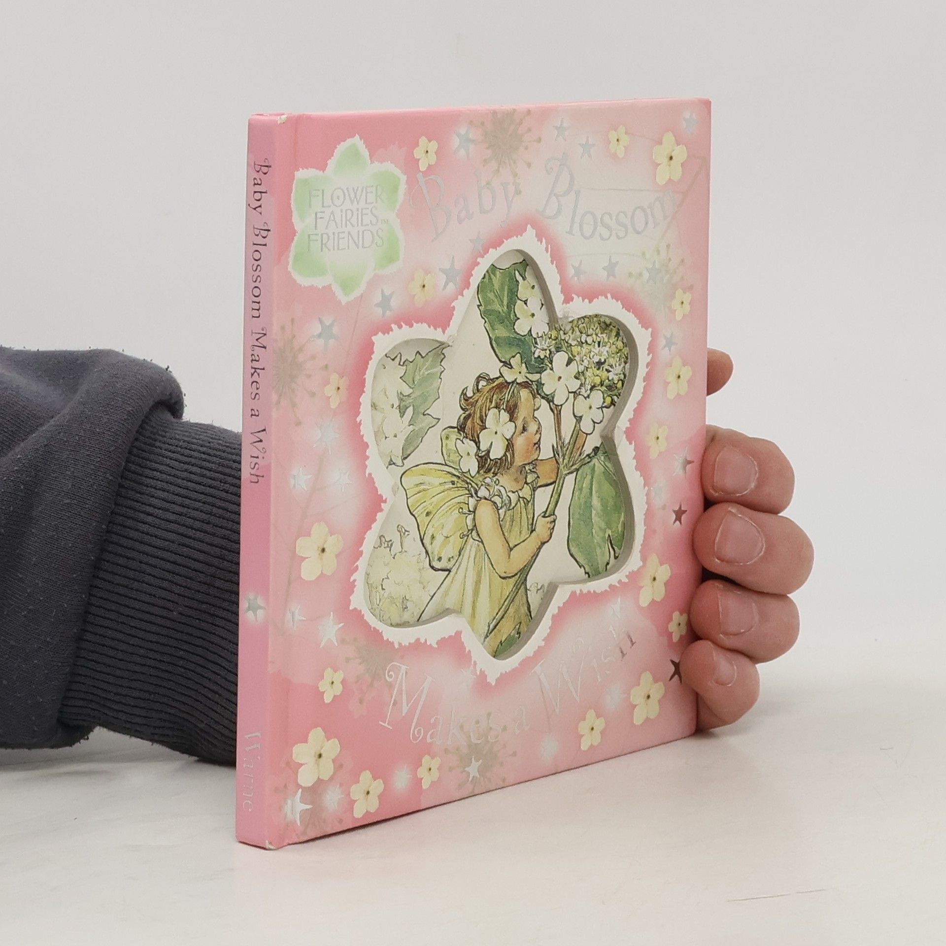 Cicely Mary Barker Flower Fairies Friends: Baby Blossom Makes a Wish