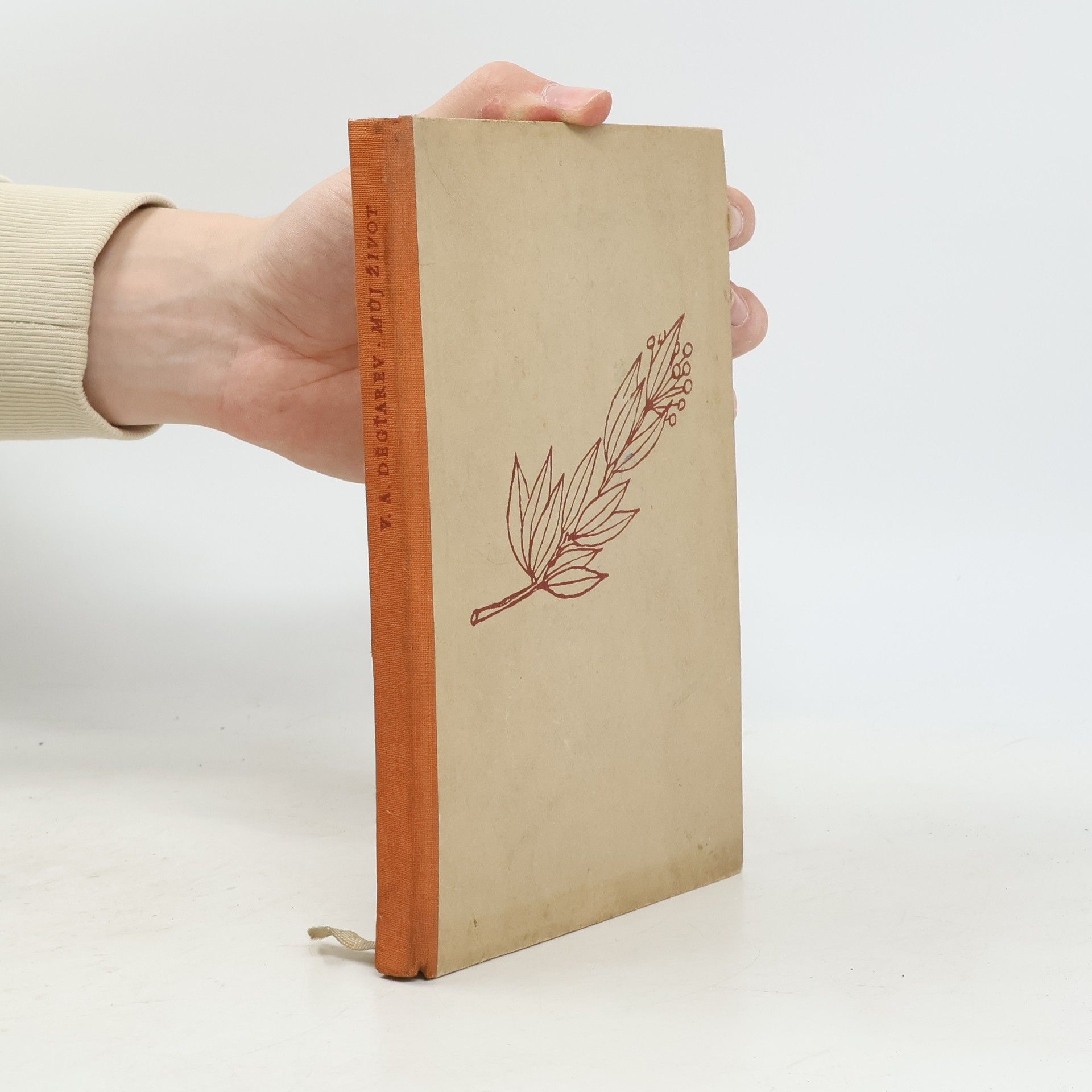 V. A. Děgťarev Můj život