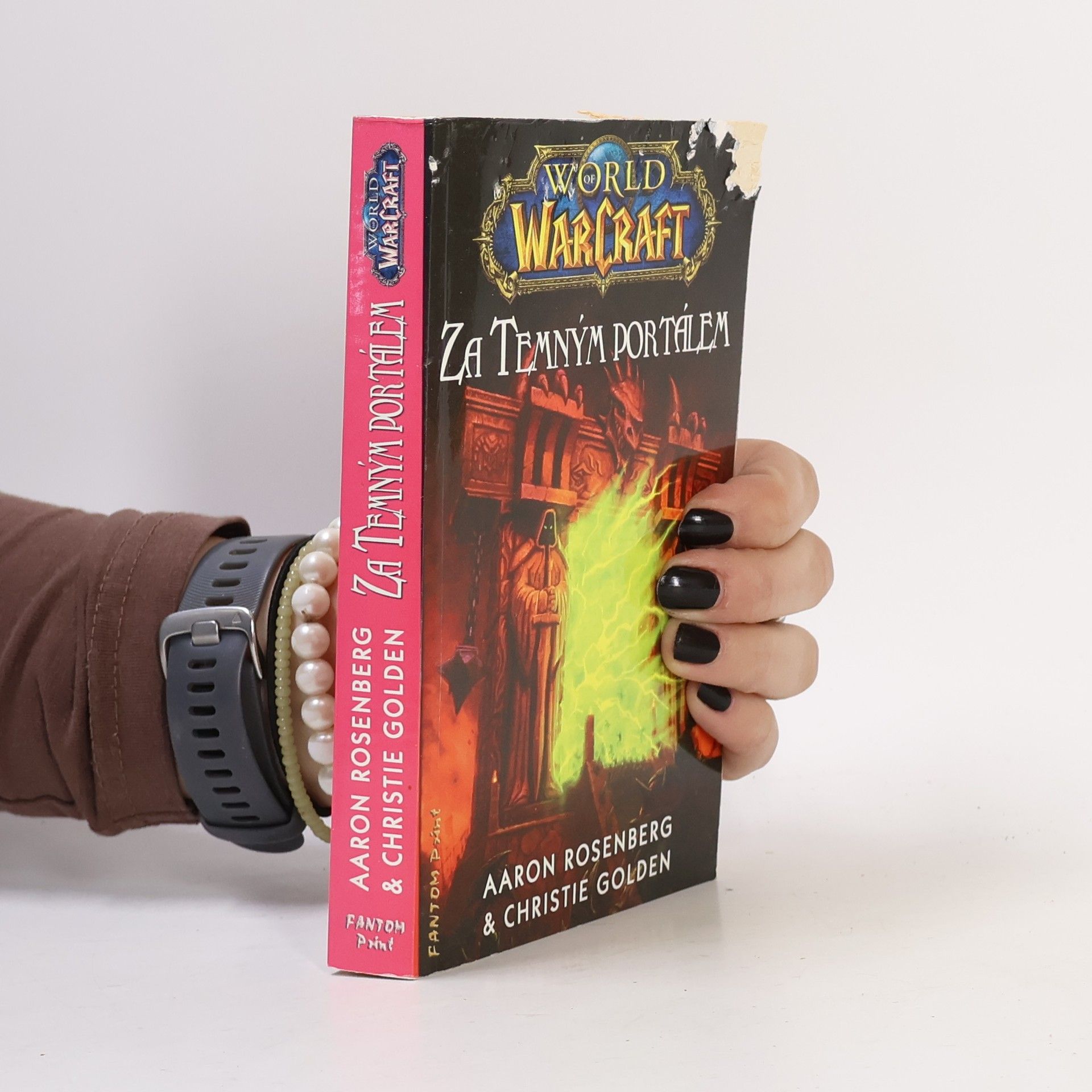 Aaron Rosenberg World of WarCraft. Za Temným portálem