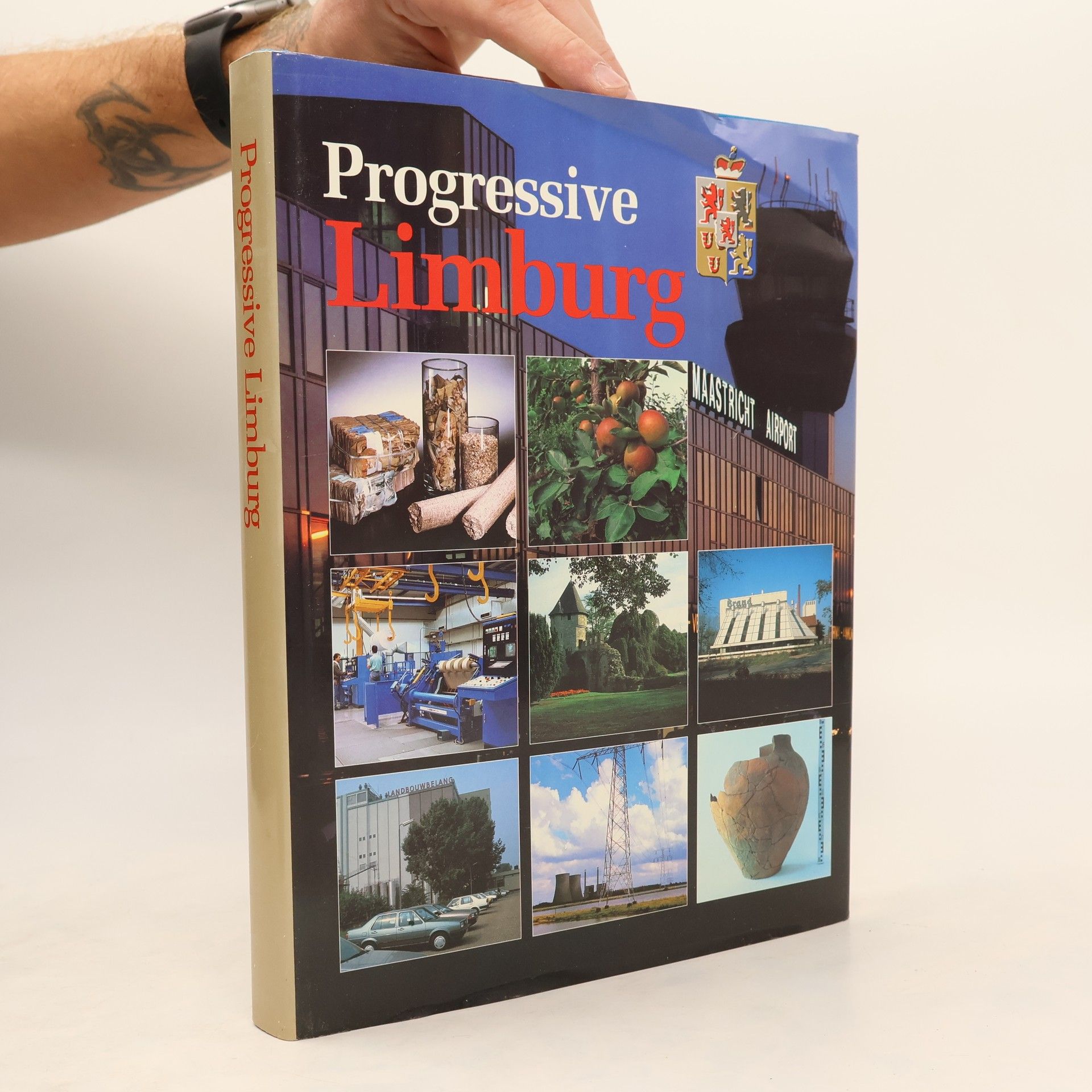 Jan Derix Progressive Limburg