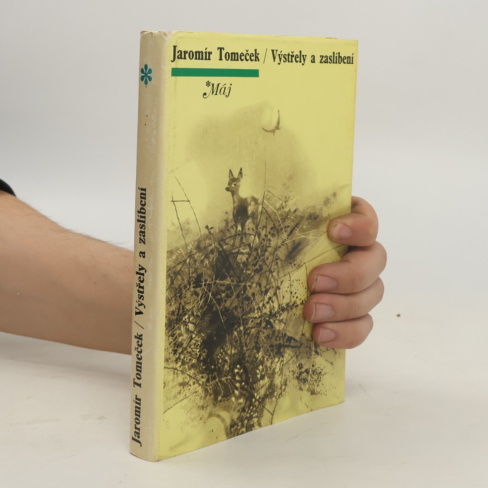 Výstřely a zaslíbení