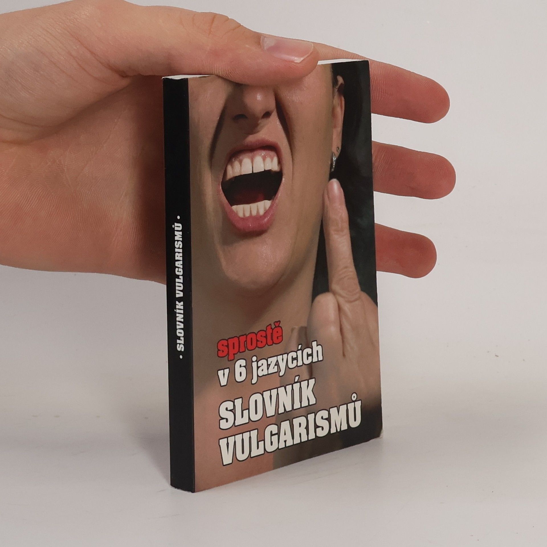 Kryštof Bajger Slovník vulgarismů : sprostě v 6 jazycích