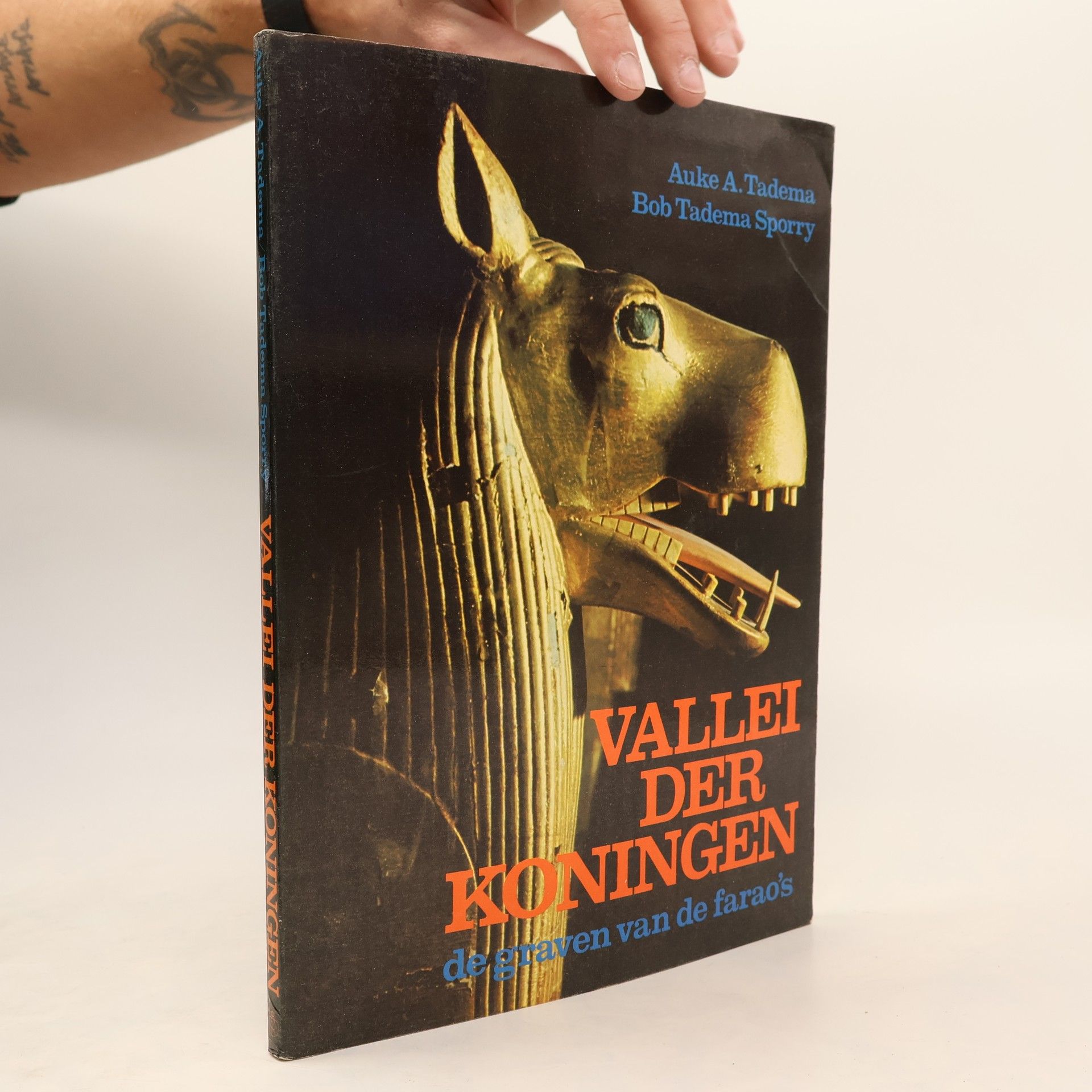 Auke A. Tadema Vallei der koningen