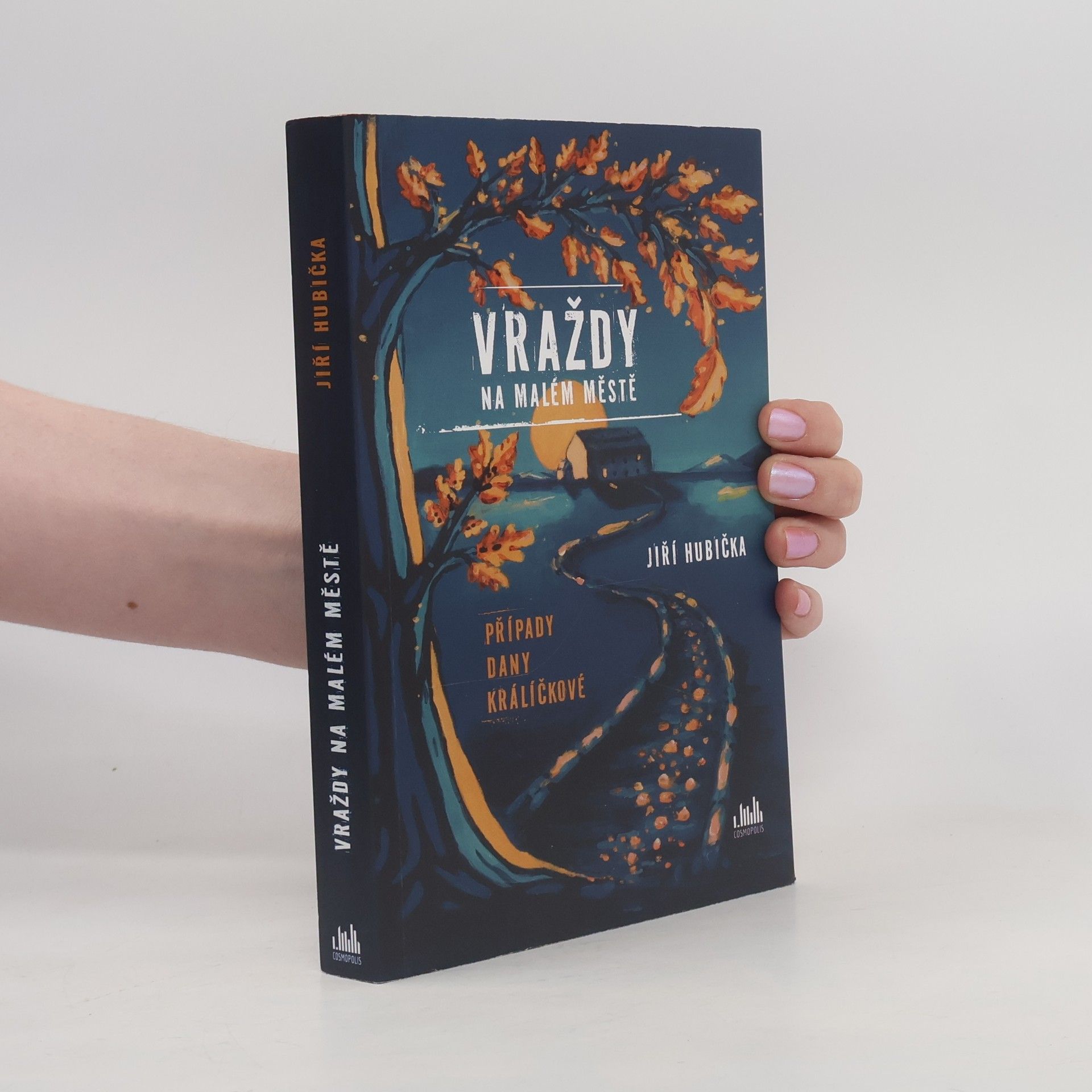 Jiří Hubička Vraždy na malém městě