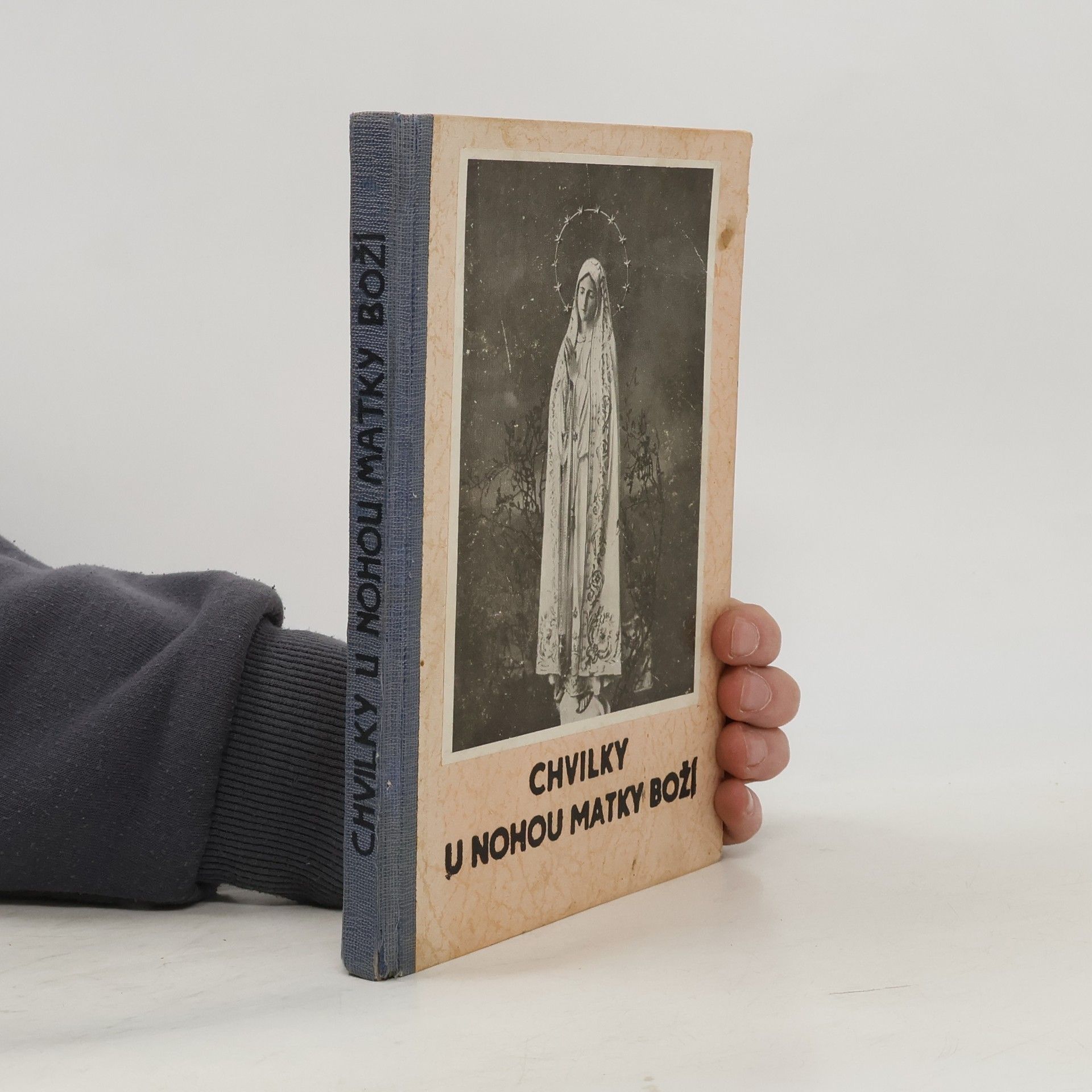 Augustin Navrátil Chvilky u nohou Matky Boží