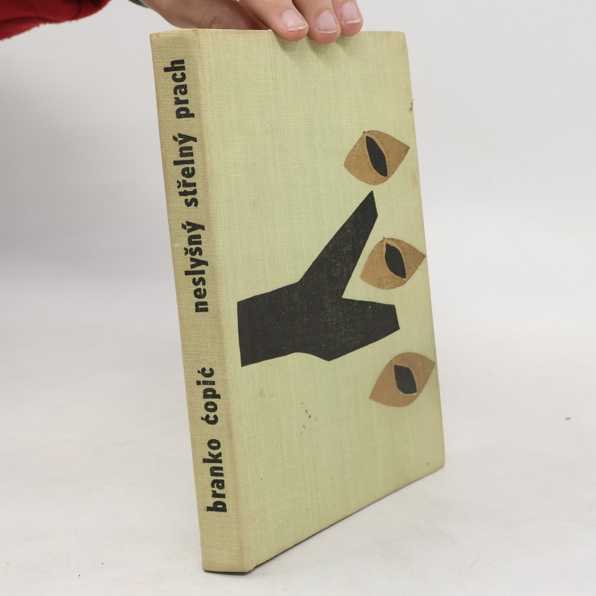 Branko Ćopić Neslyšný střelný prach