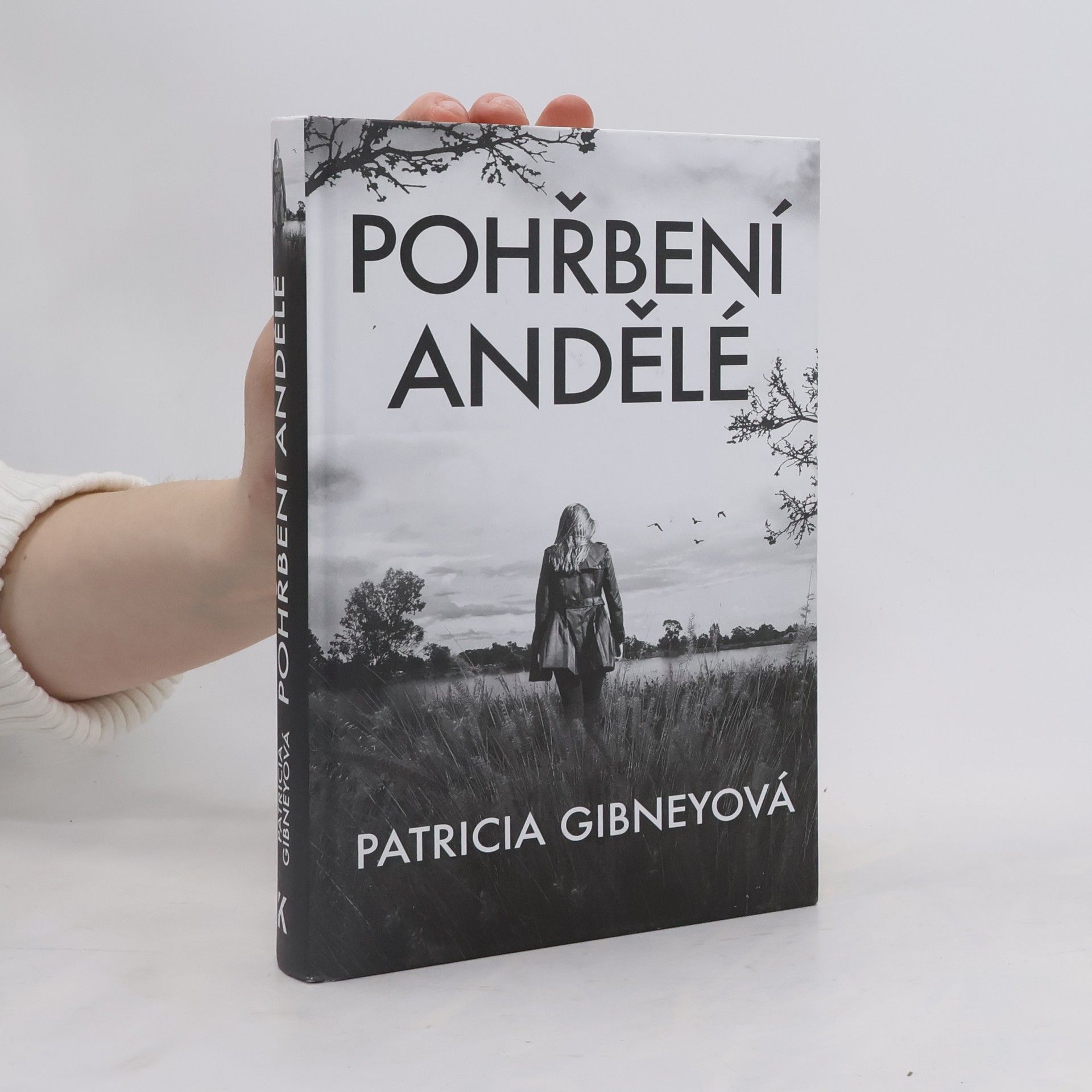 Drahomíra Michnová Pohřbení andělé