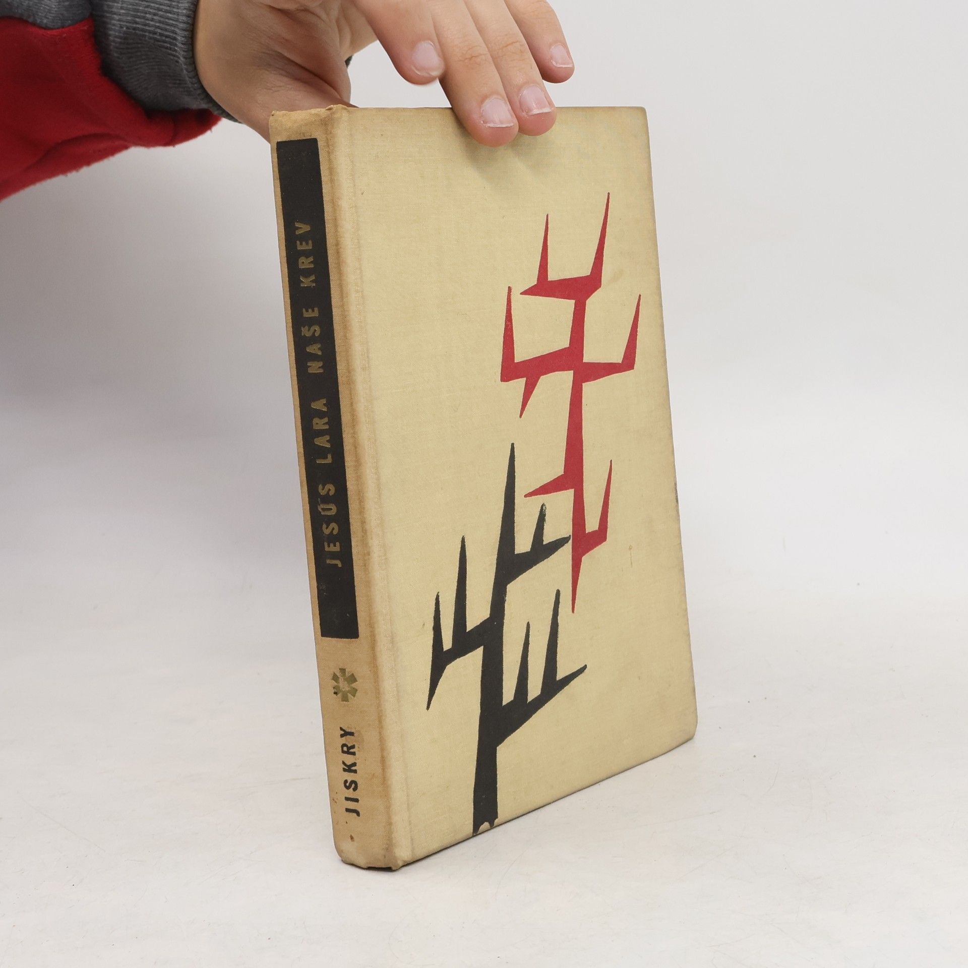 Jesús Lara Naše krev : Kečuánský román