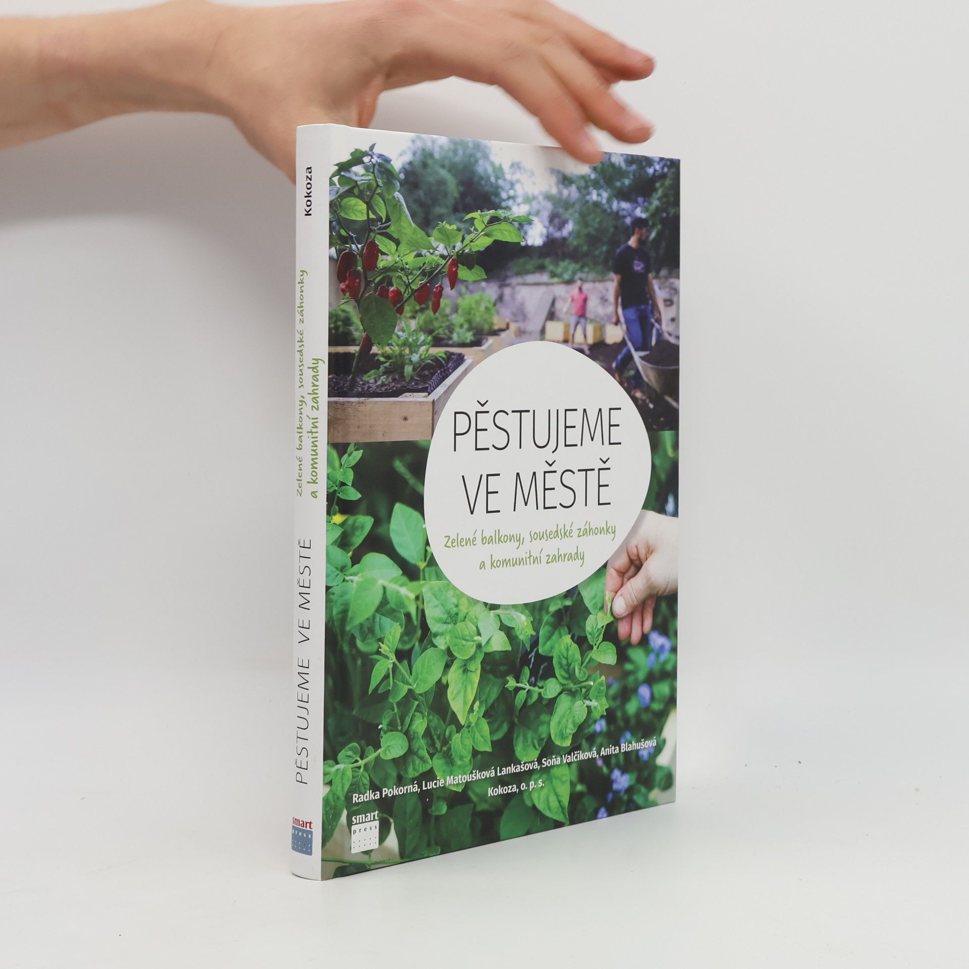 Radka Pokorná Pěstujeme ve městě. Zelené balkony, sousedské záhonky a komunitní zahrady