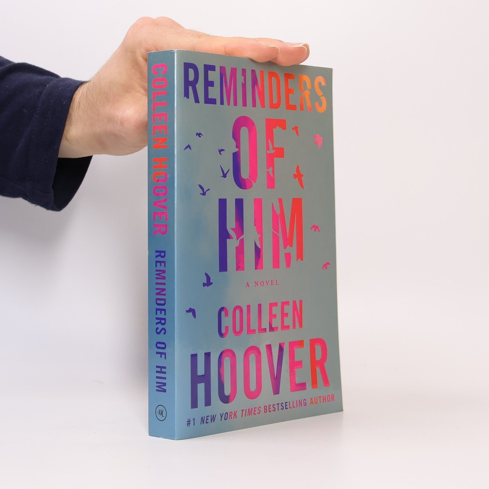 Colleen Hoover Reminders of him