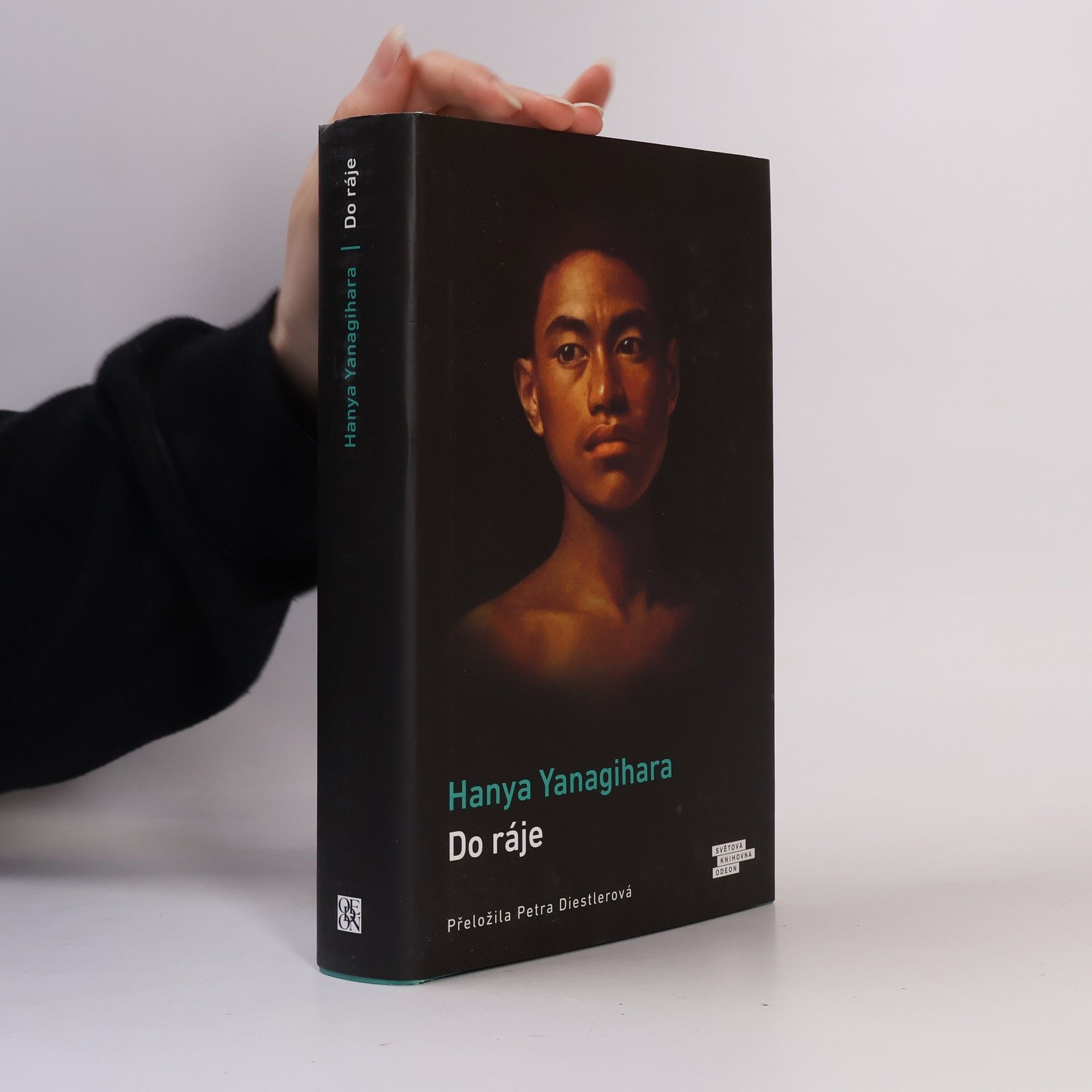 Hanya Yanagihara Do ráje
