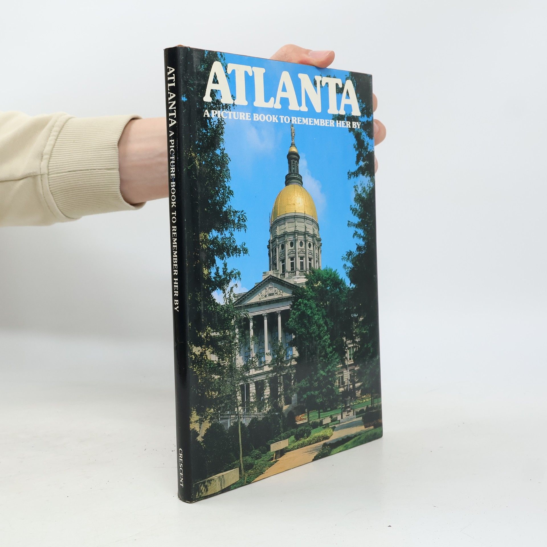 David Gibbon Atlanta, a Picture Book to Remember Her by